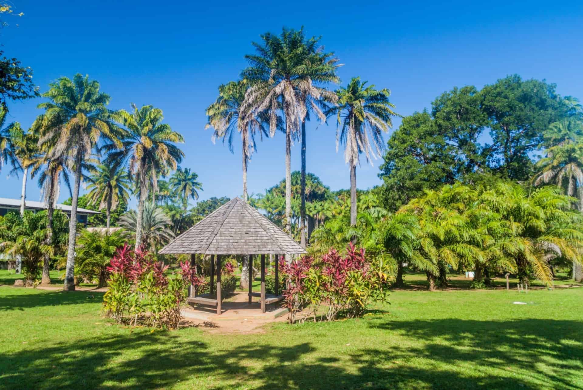 cayenne guyane francaise