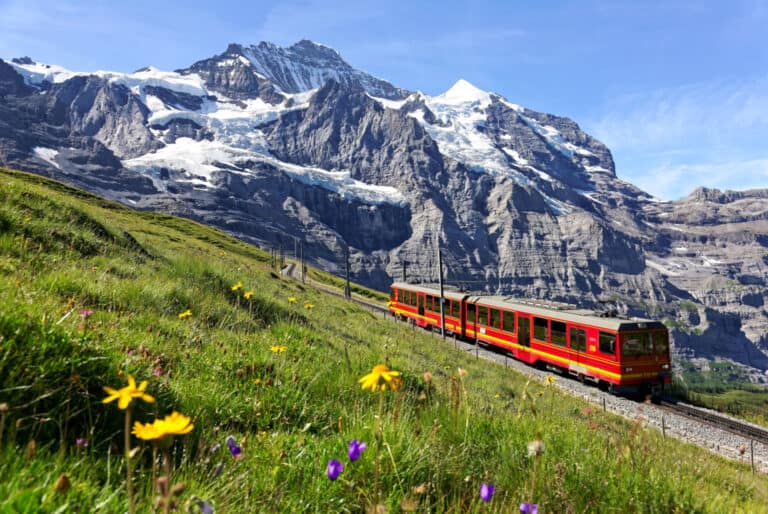 Excursion d'une journée au Jungfraujoch