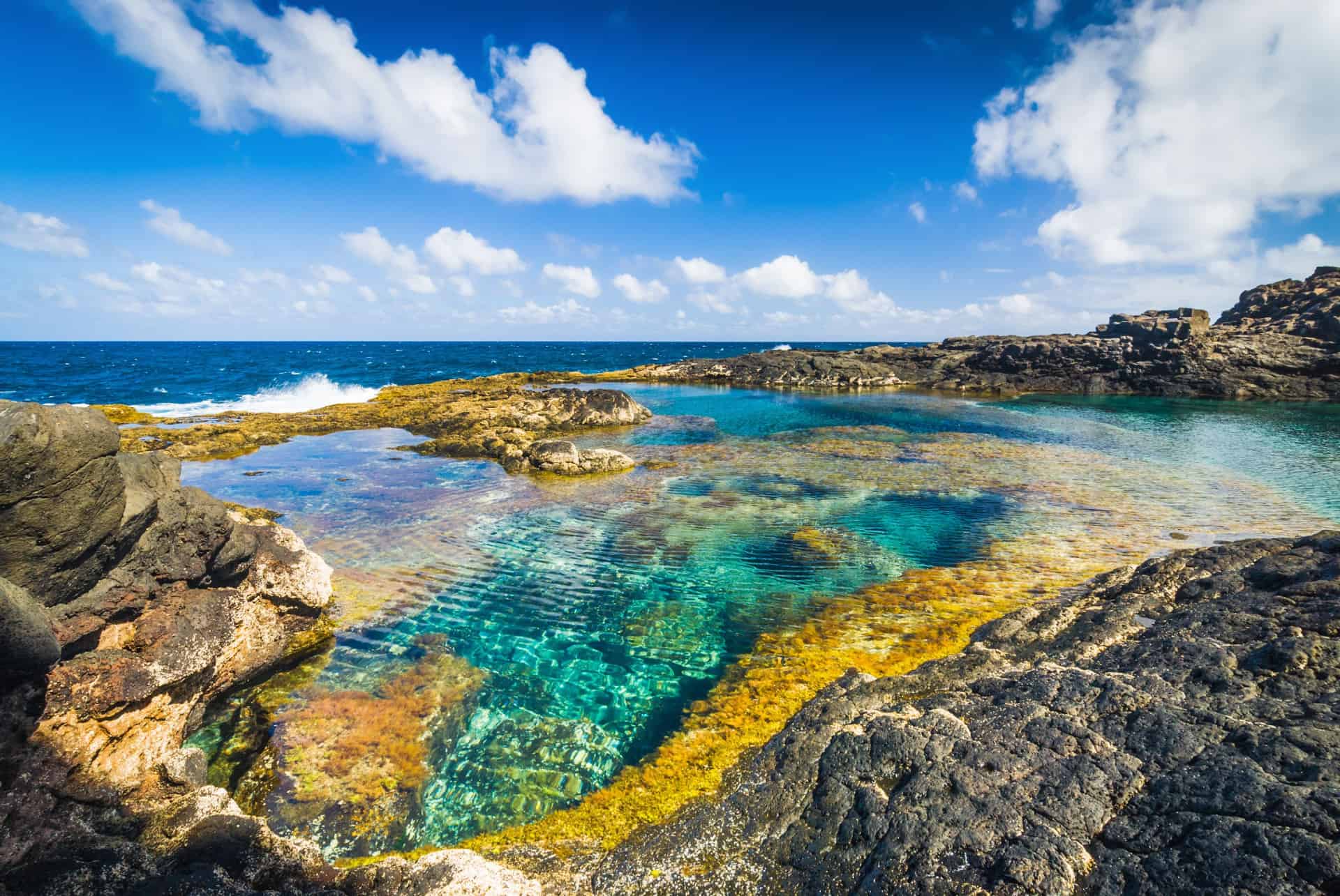 lanzarote piscine naturelle