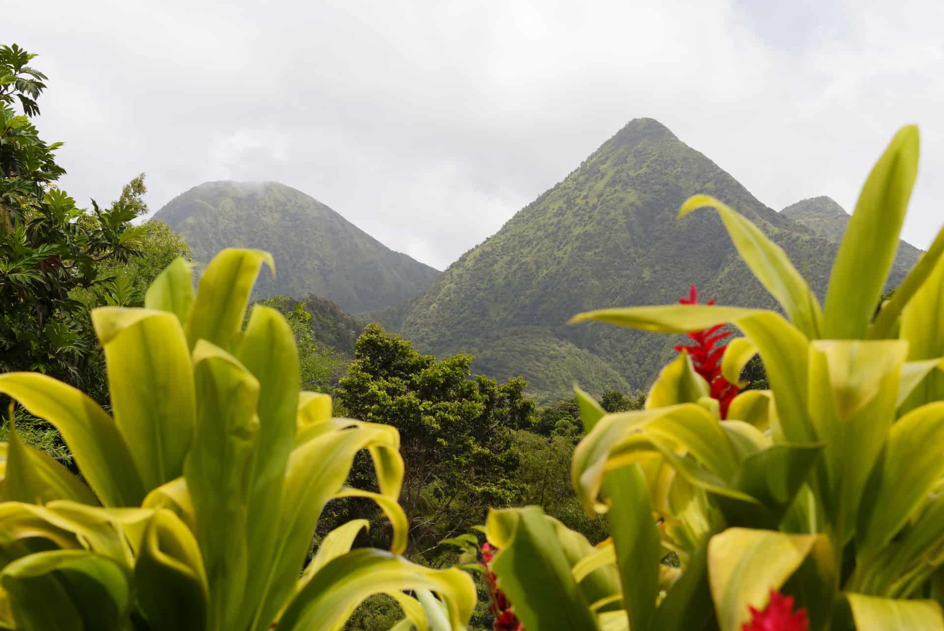 montagne pelee randonnee