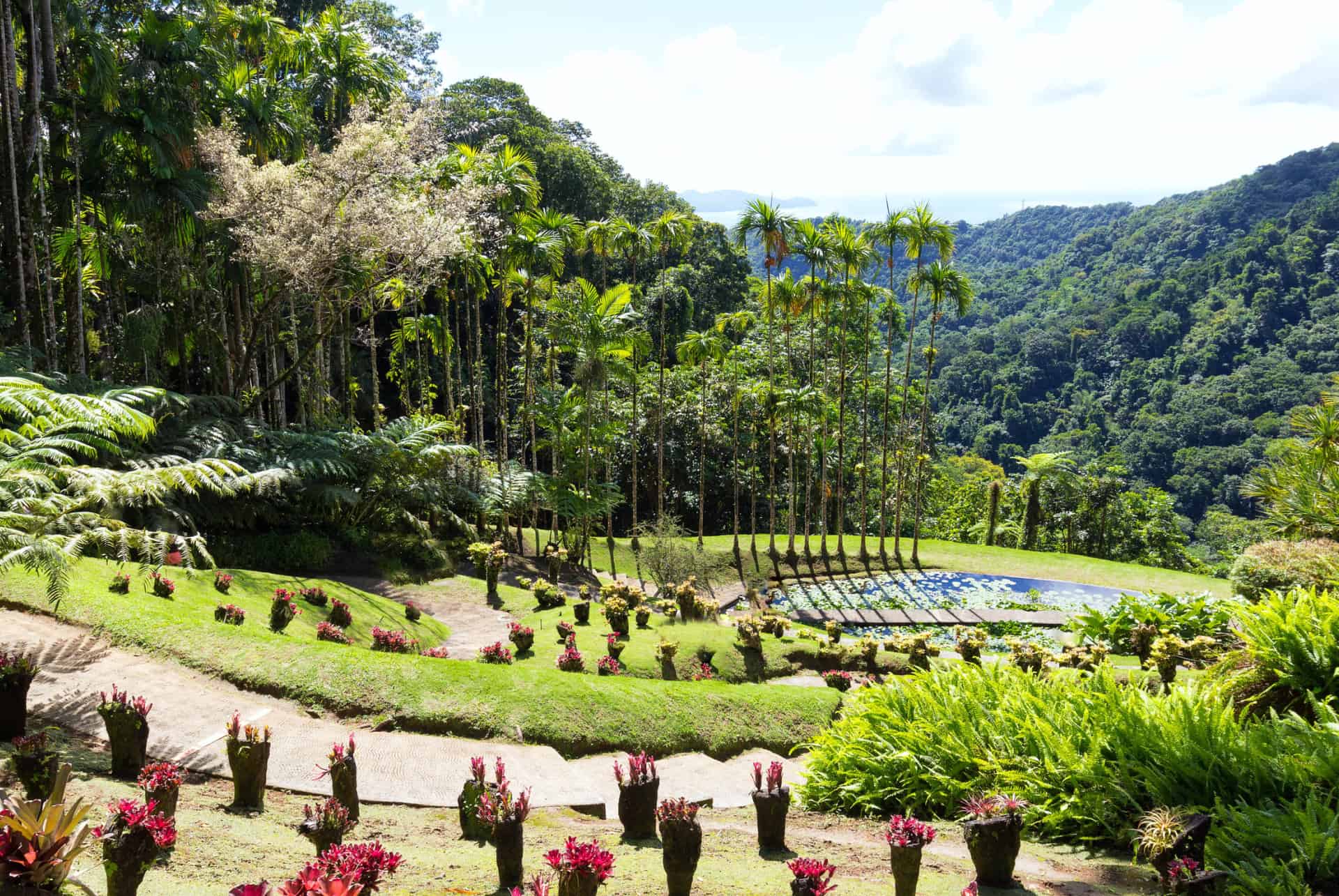 que faire martinique jardin balata