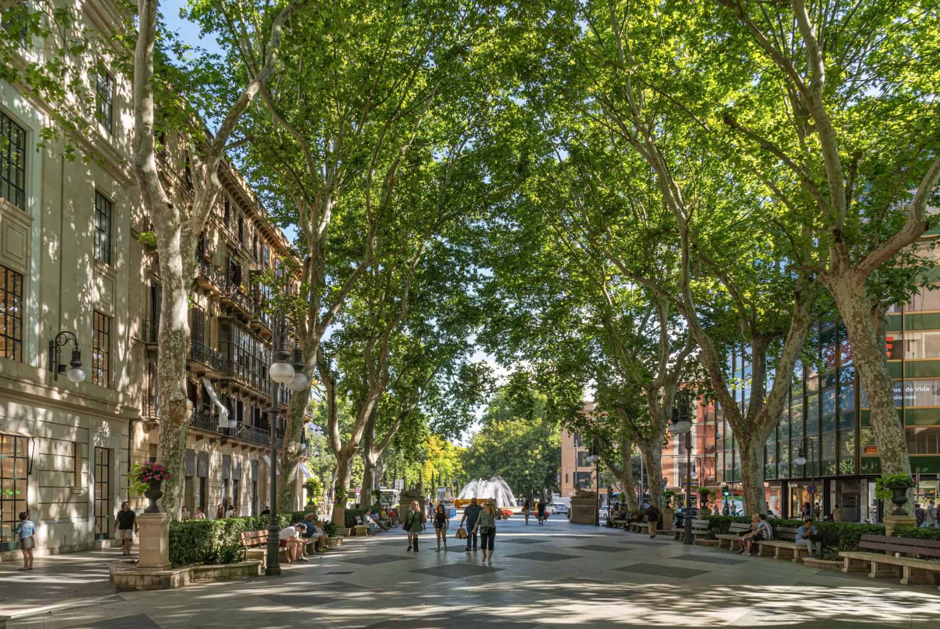 que voir palma de majorque