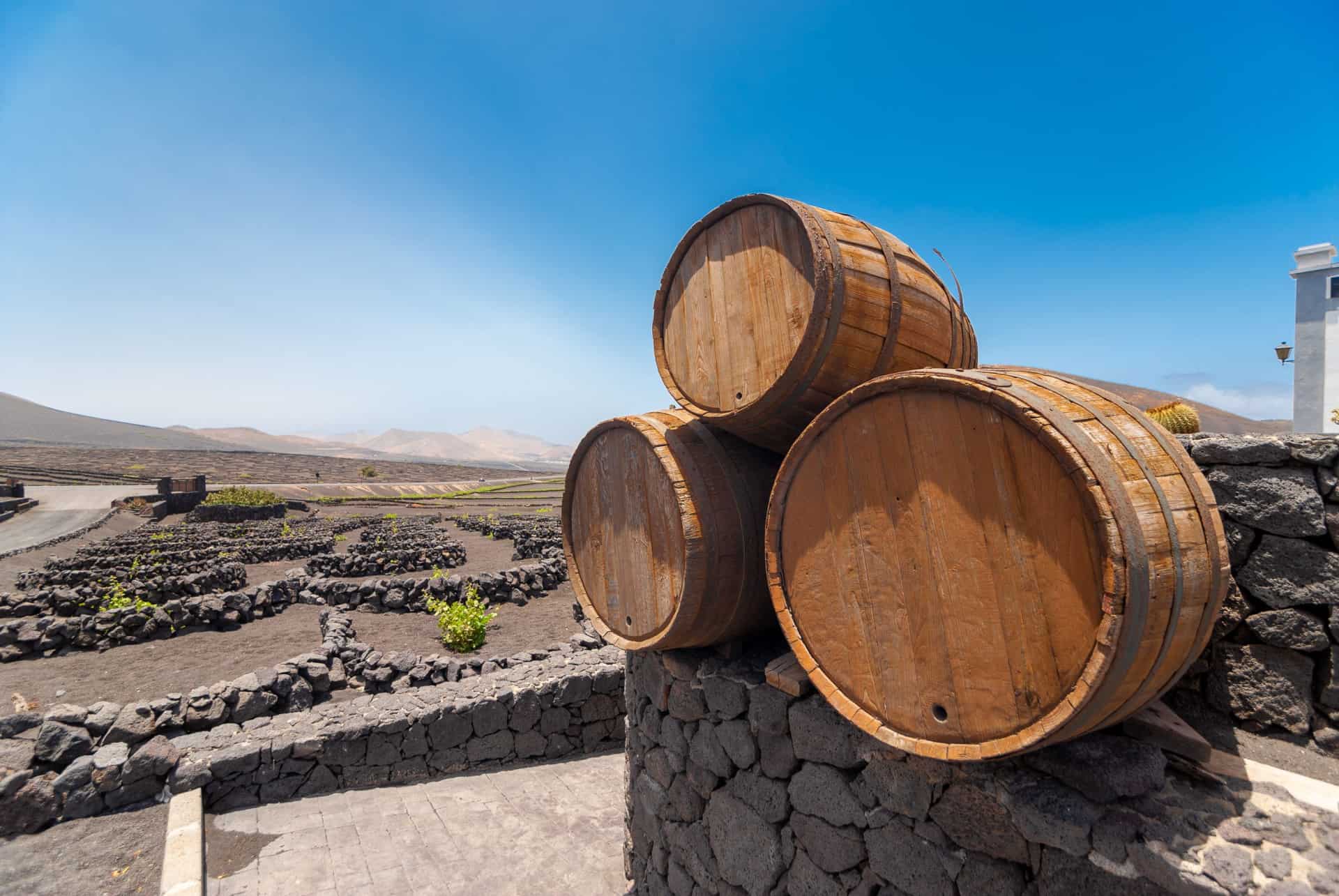 route des vins lanzarote