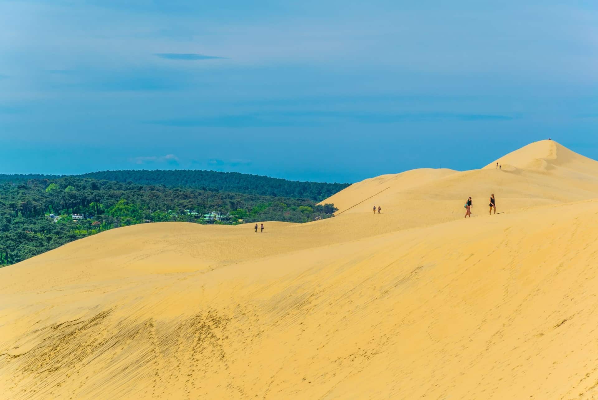 dune du pilat