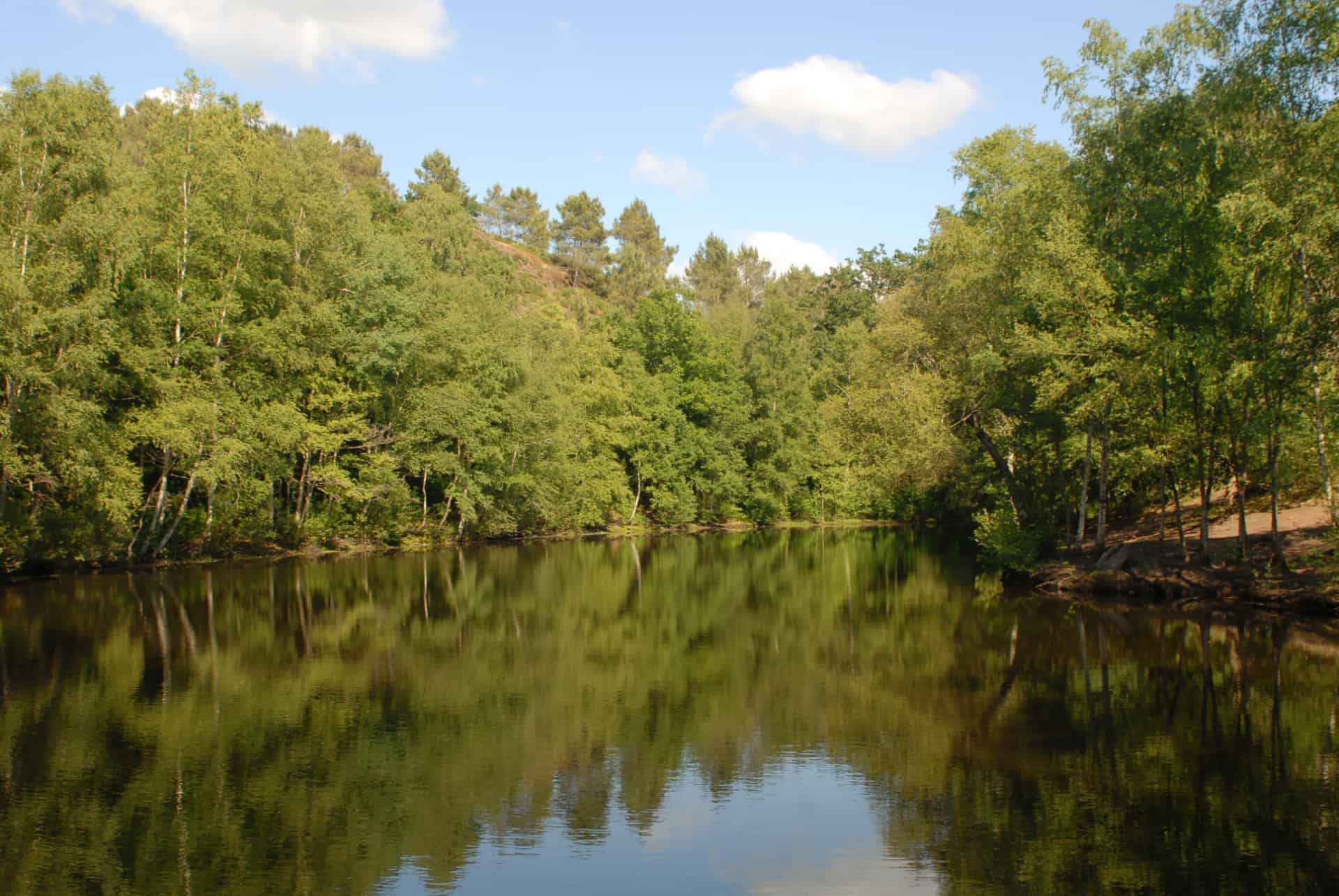 foret de broceliande