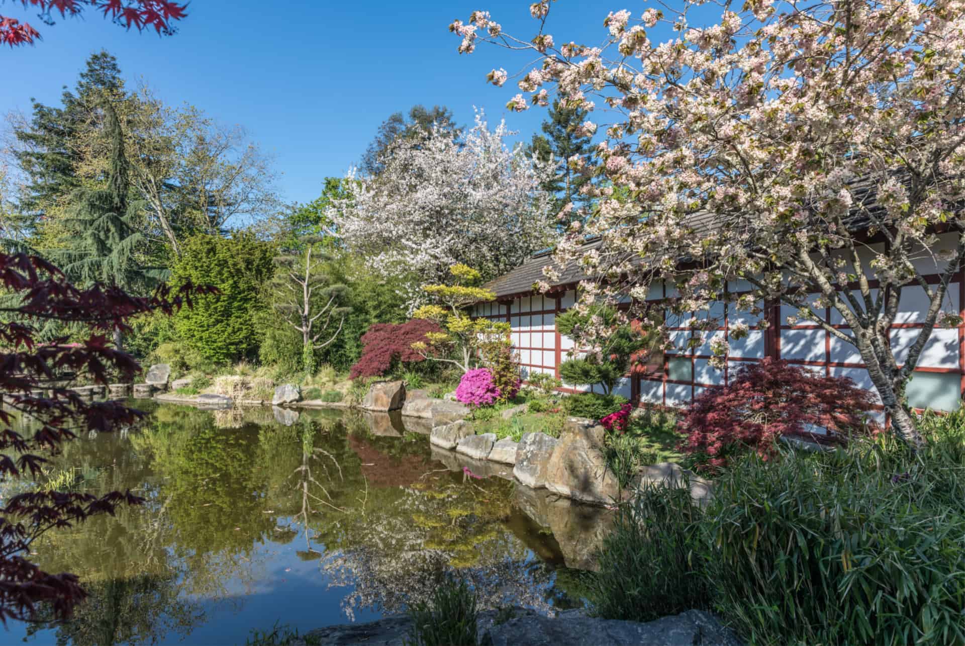 jardin plantes nantes