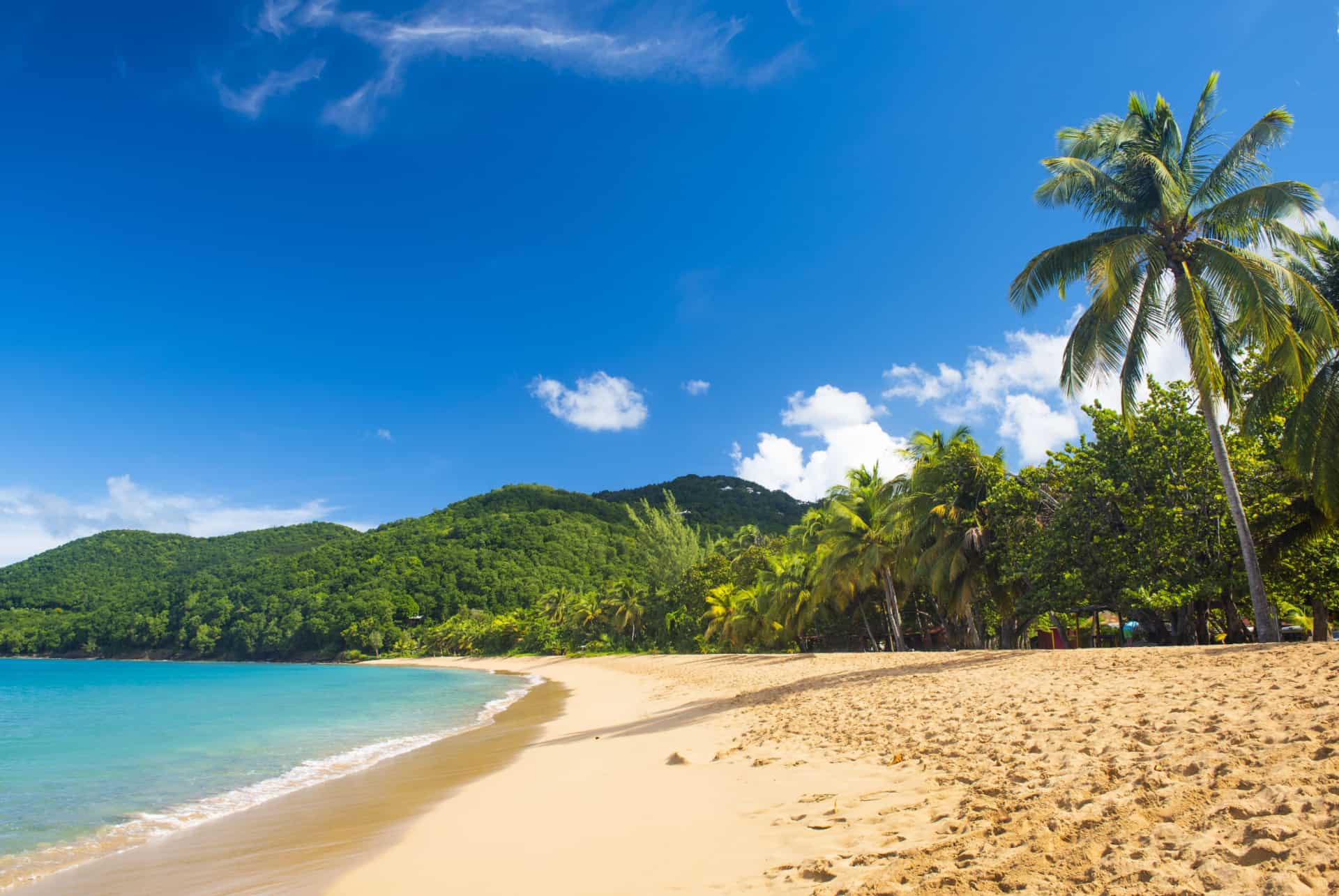 les plus belles plages de guadeloupe