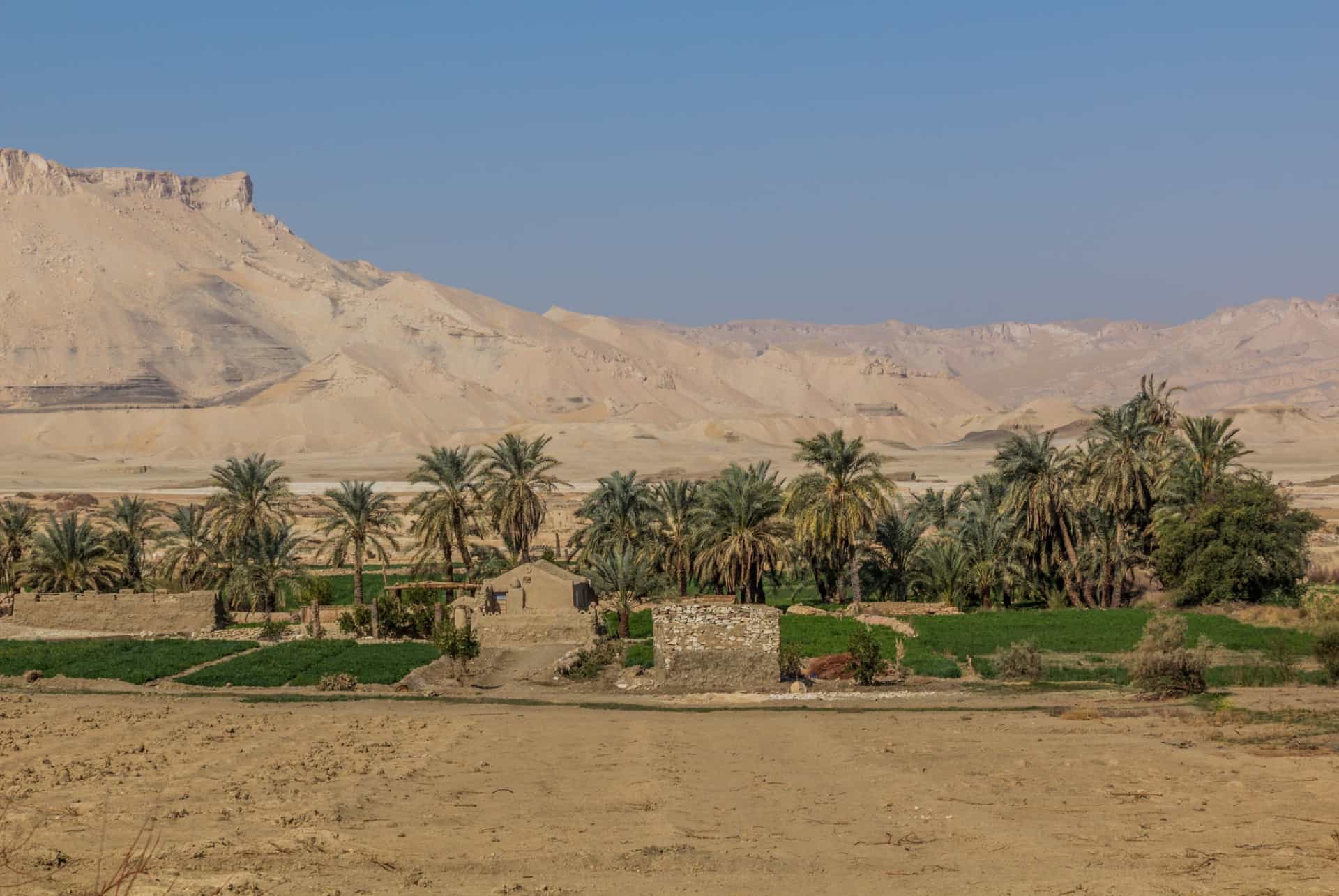 oasis dakhla