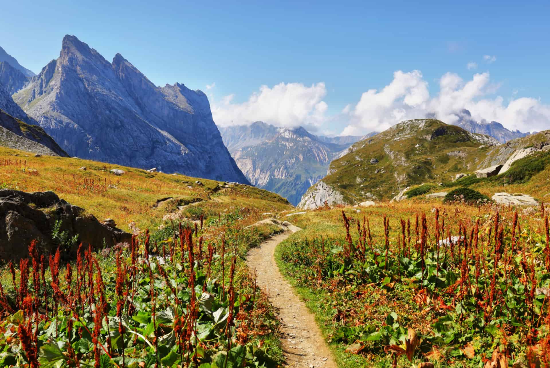 que faire dans les alpes parc national de la vanoise
