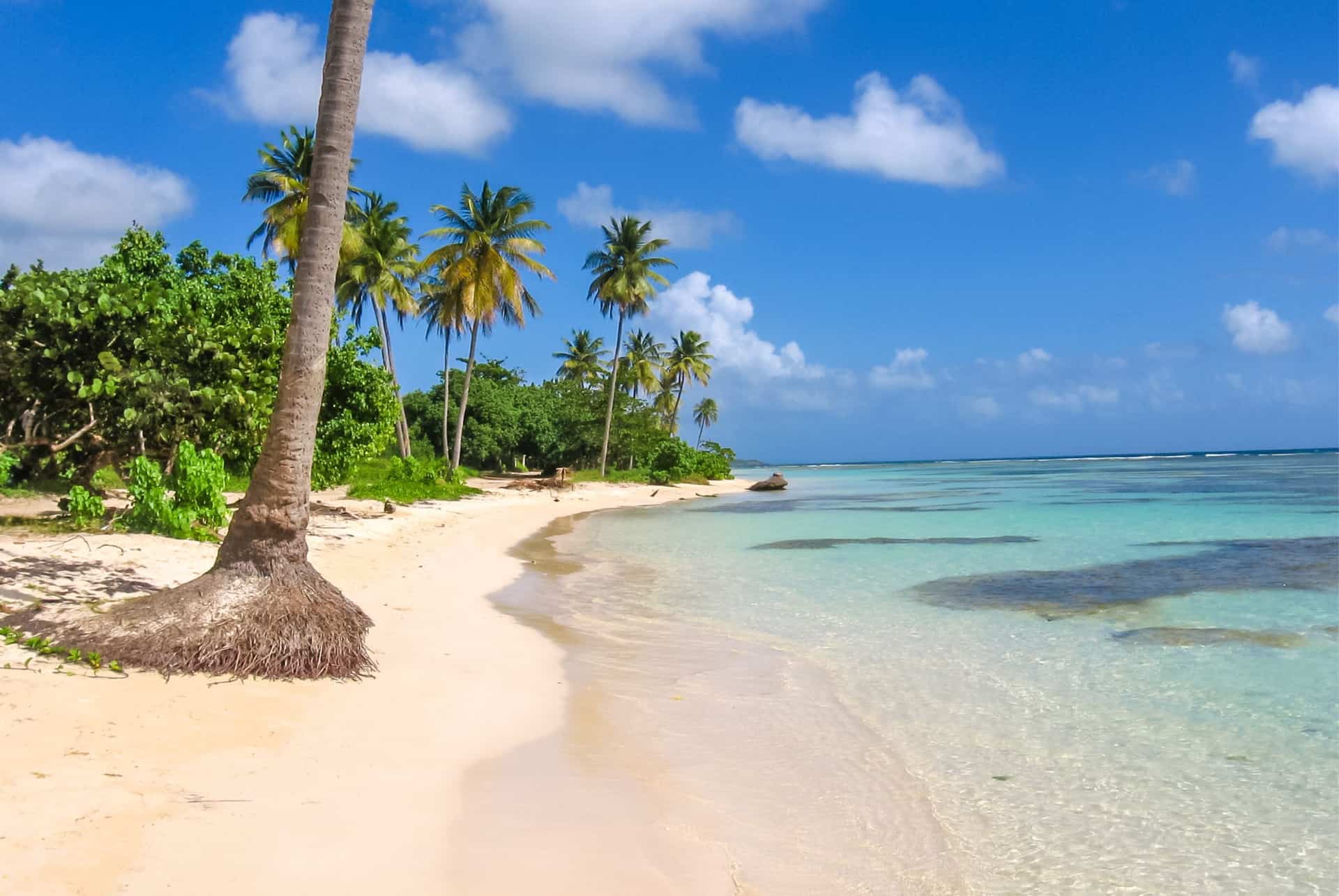 plage en guadeloupe