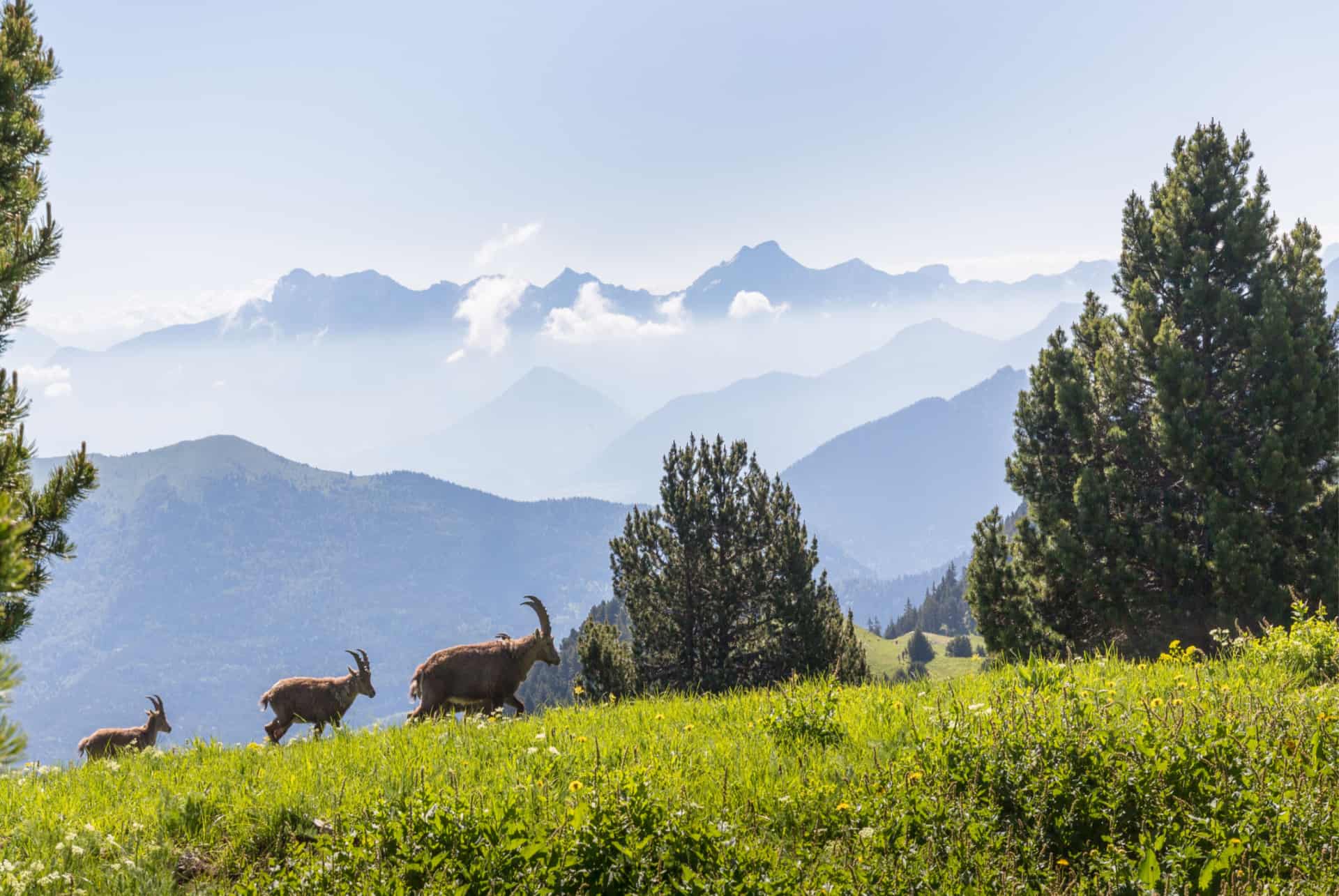 plateau du vercors alpes