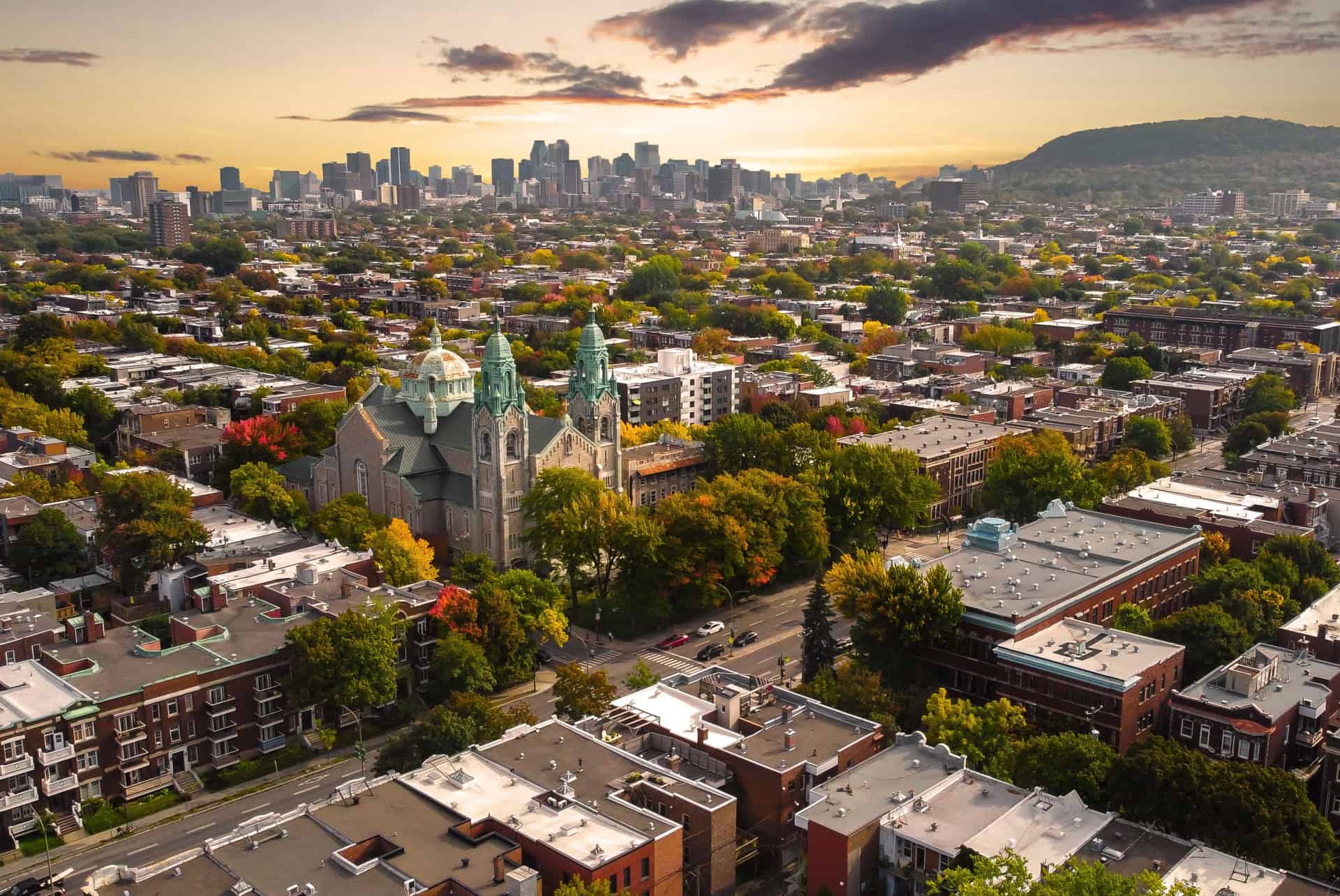 plateau mont royal