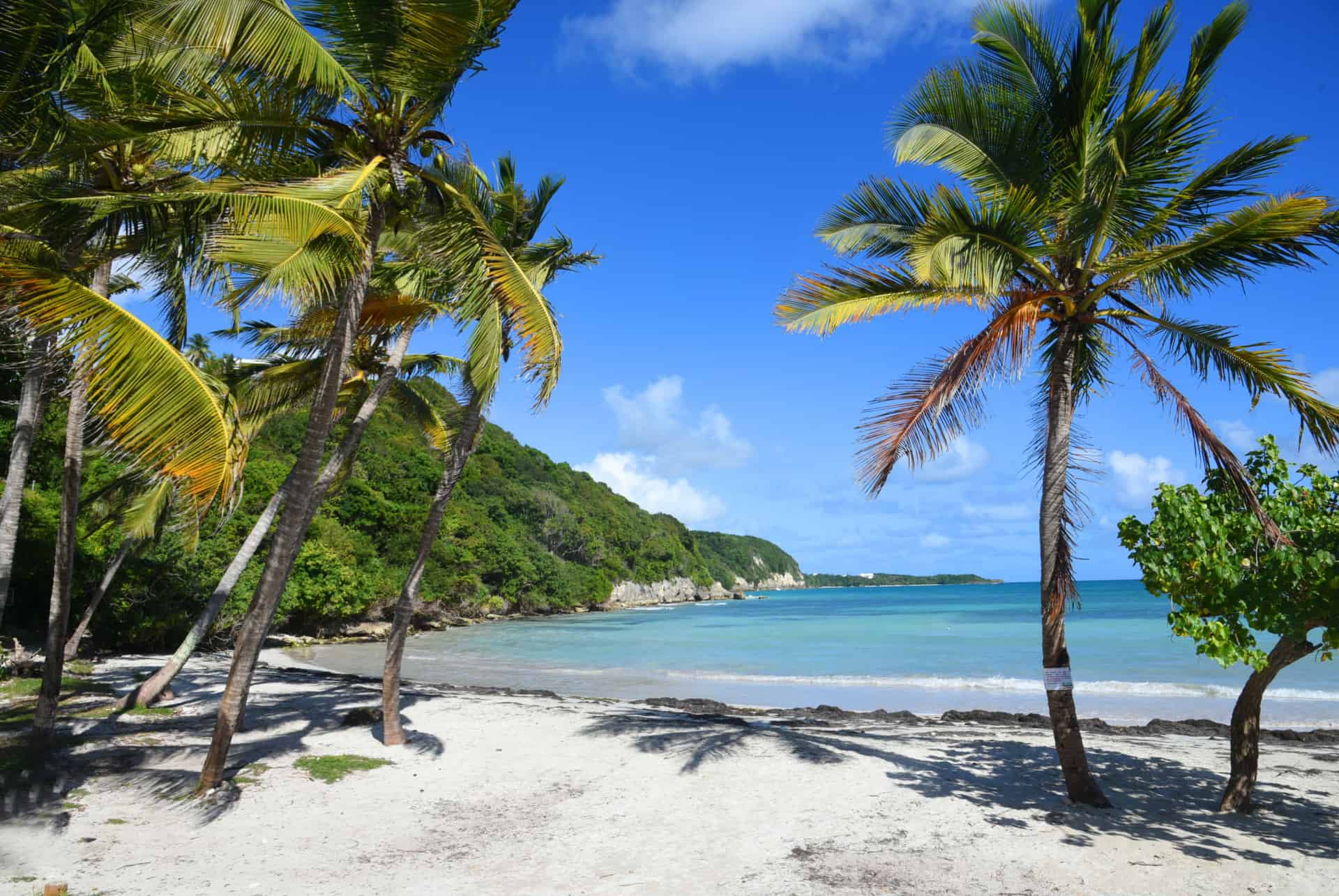 Guadeloupe