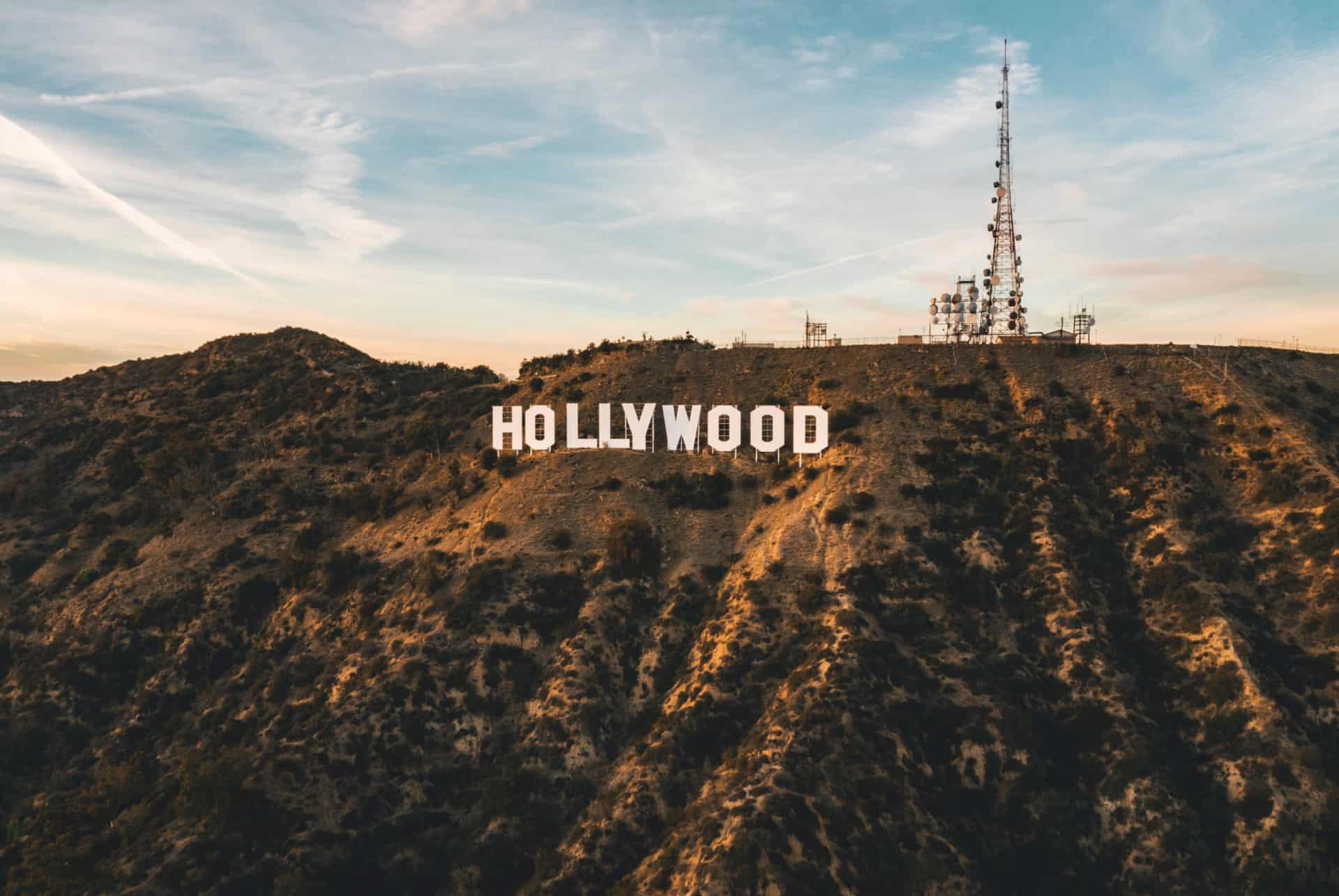 signe hollywood