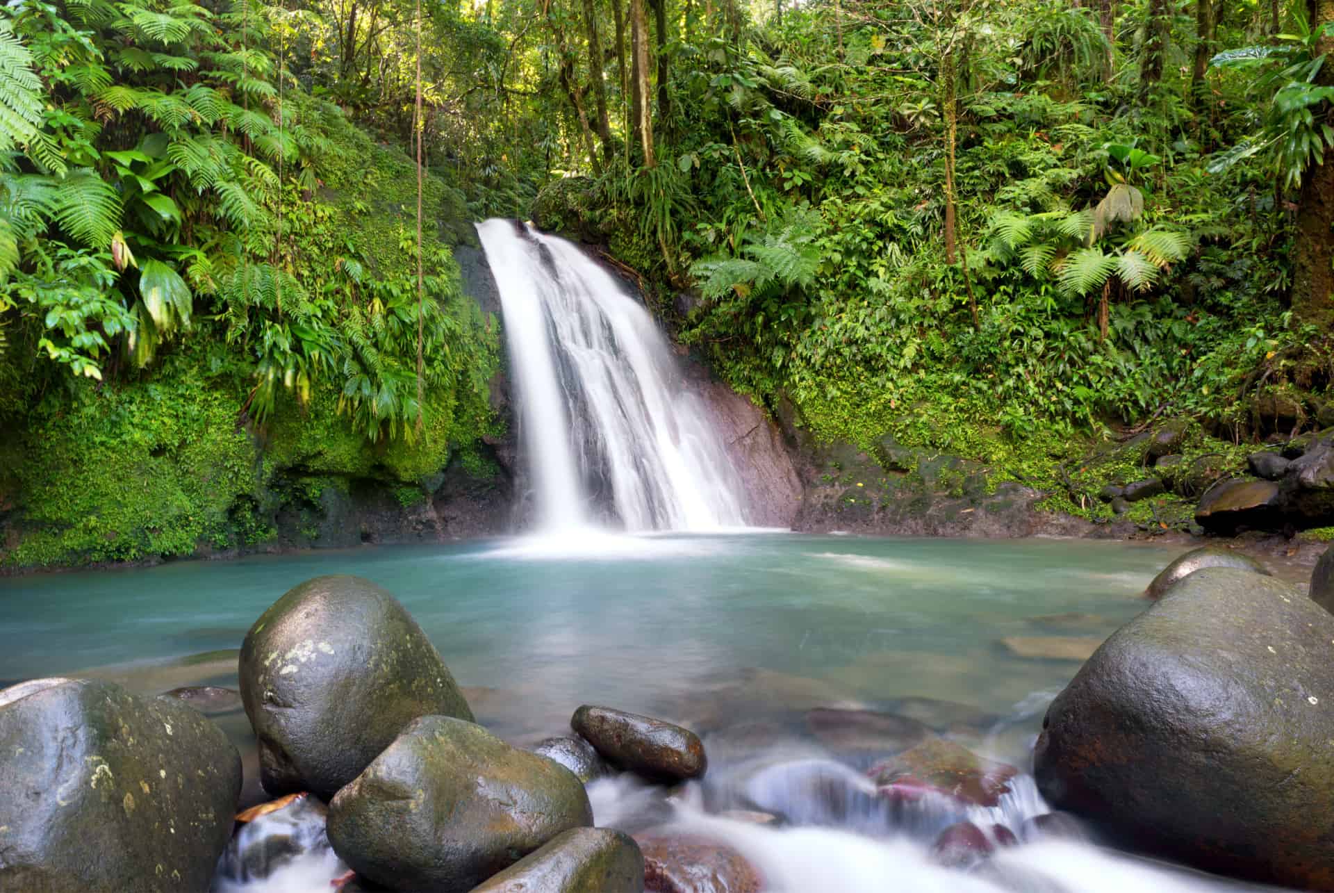 visiter le parc national de la guadeloupe