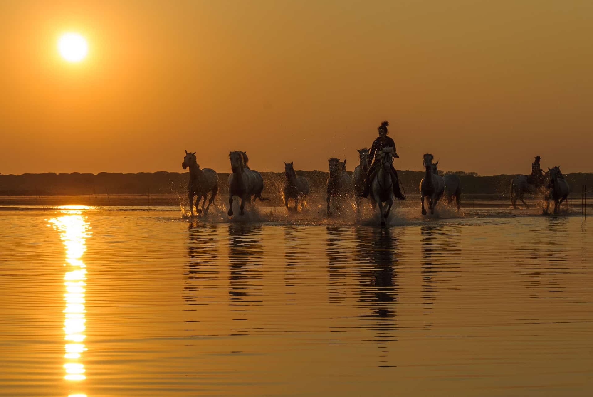 activites en camargue