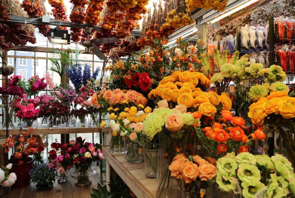 fleurs marché aux fleurs 3 jours amsterdam