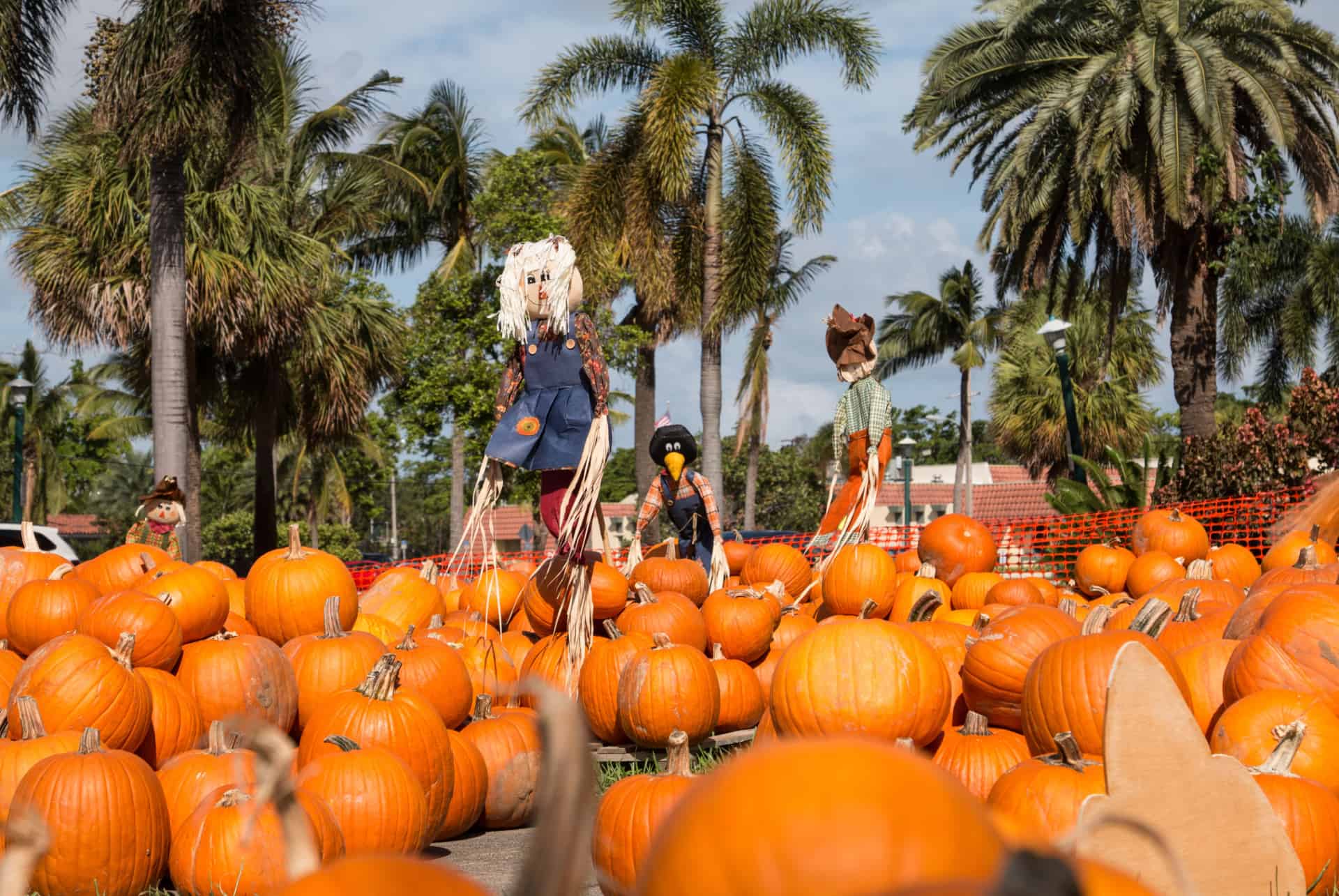 halloween a miami