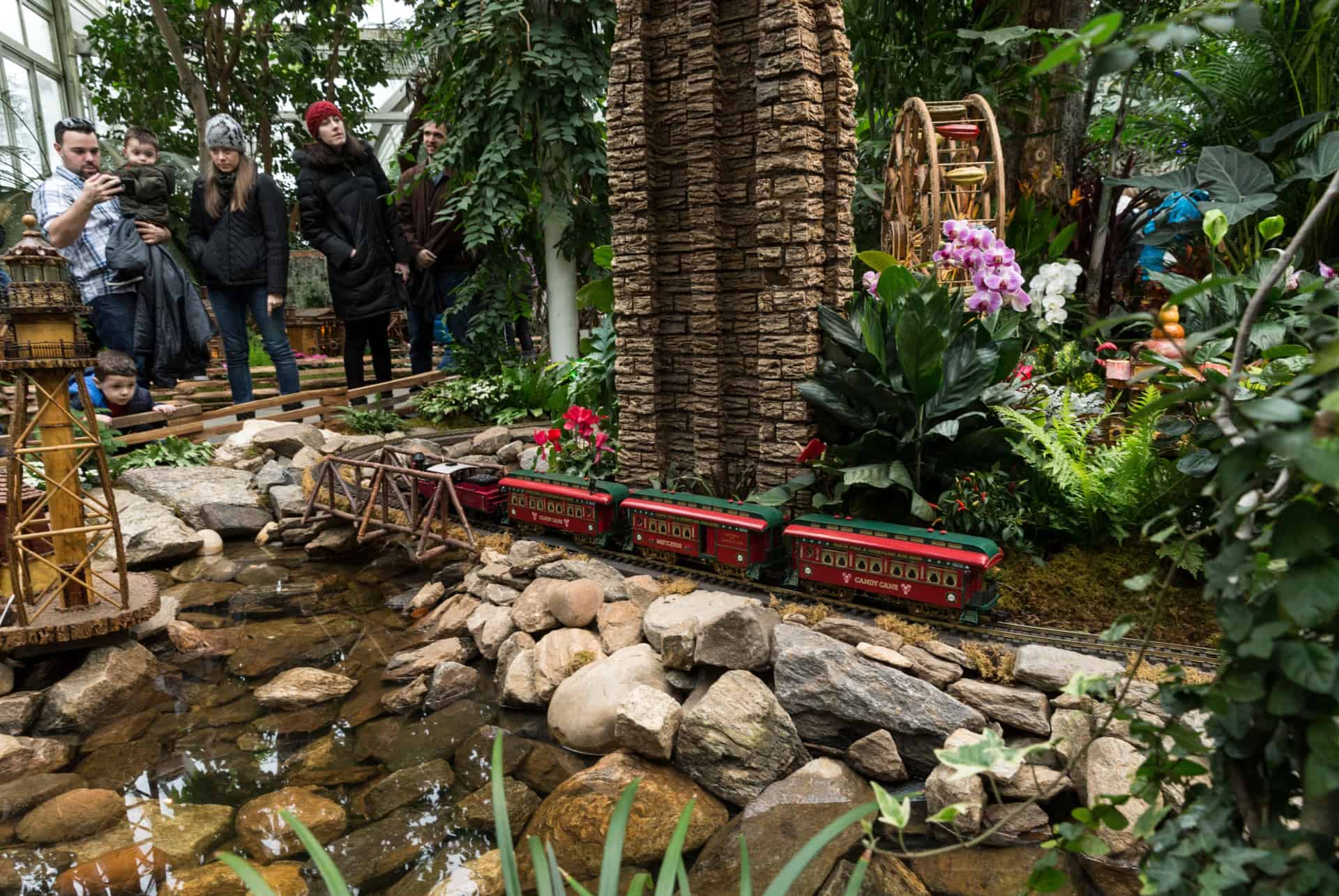 jardin botanique bronx train de noel