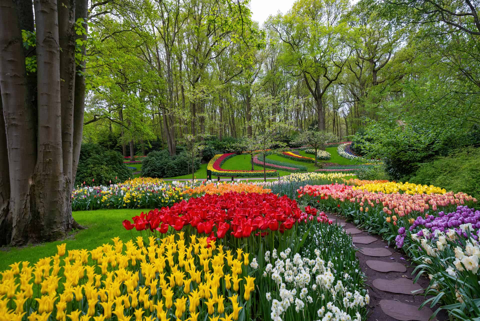 jardins du keukenhof