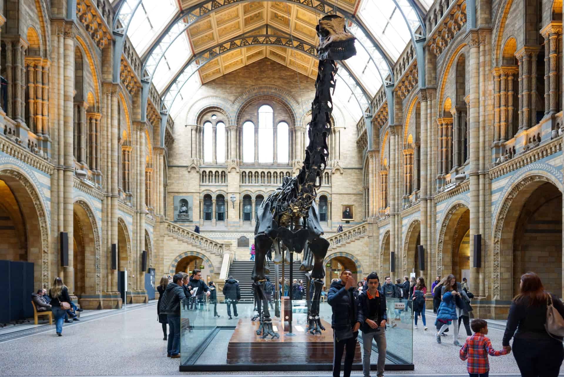 musee natural history londres 4 jours