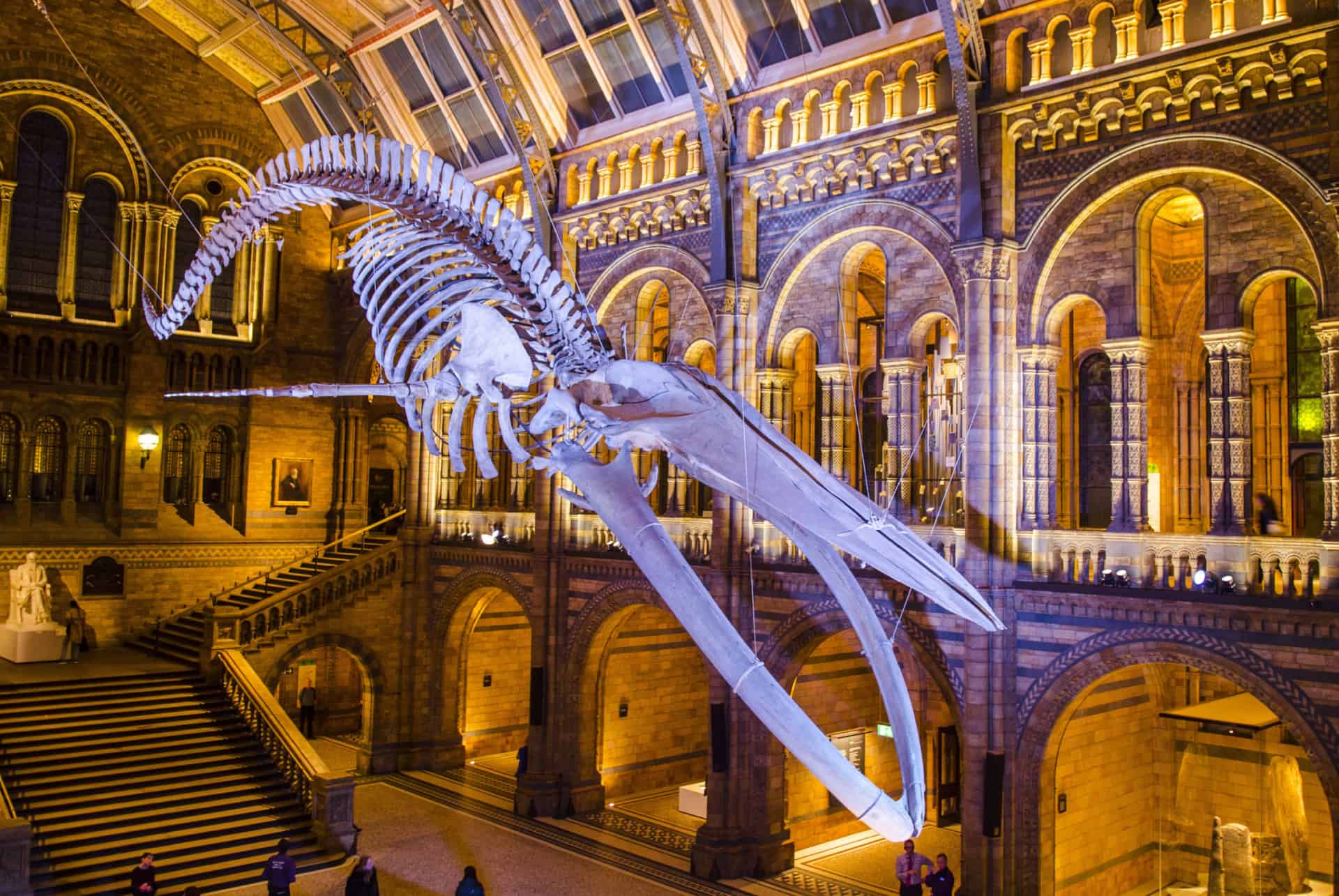 natural history museum