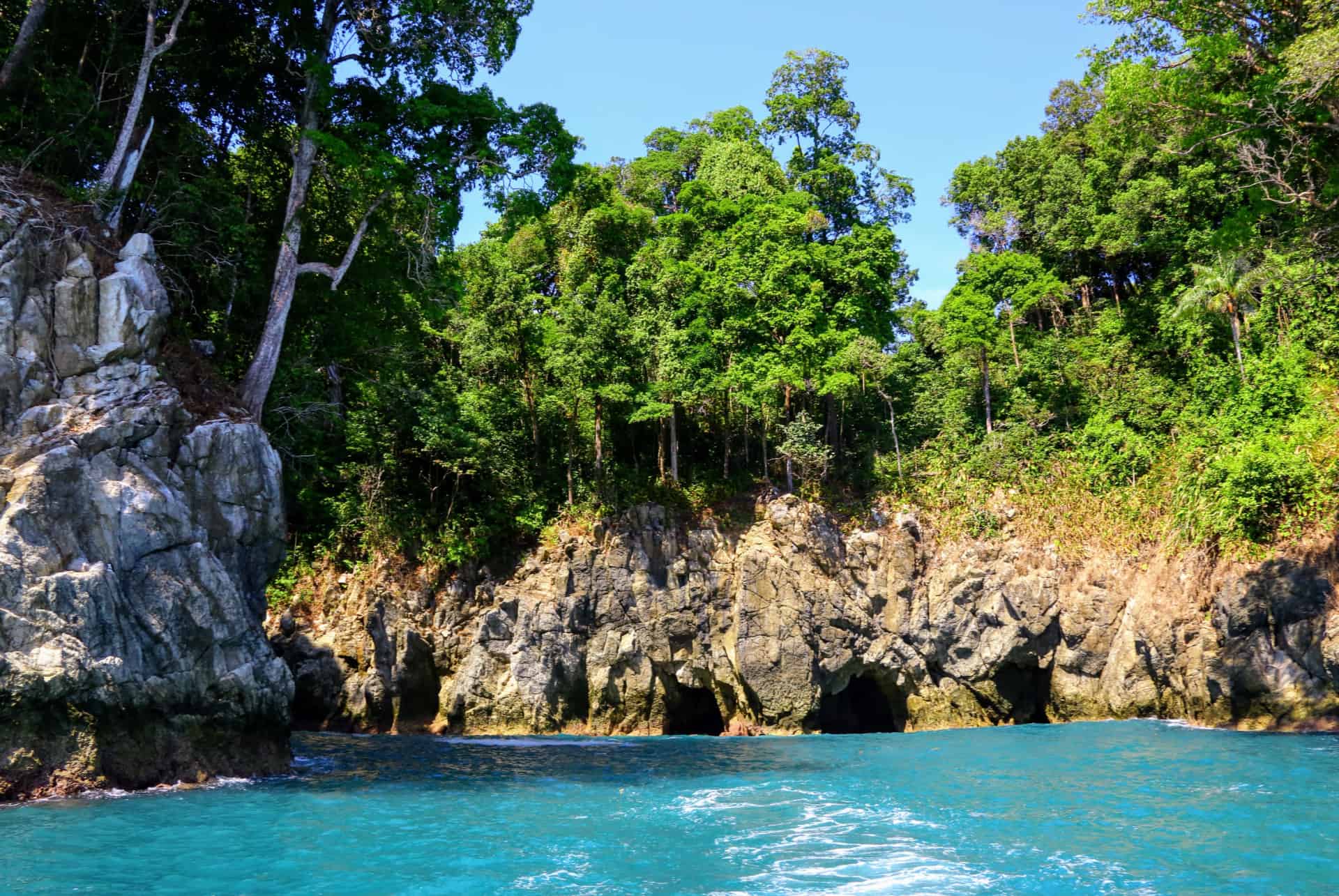 parc corcovado que faire costa rica