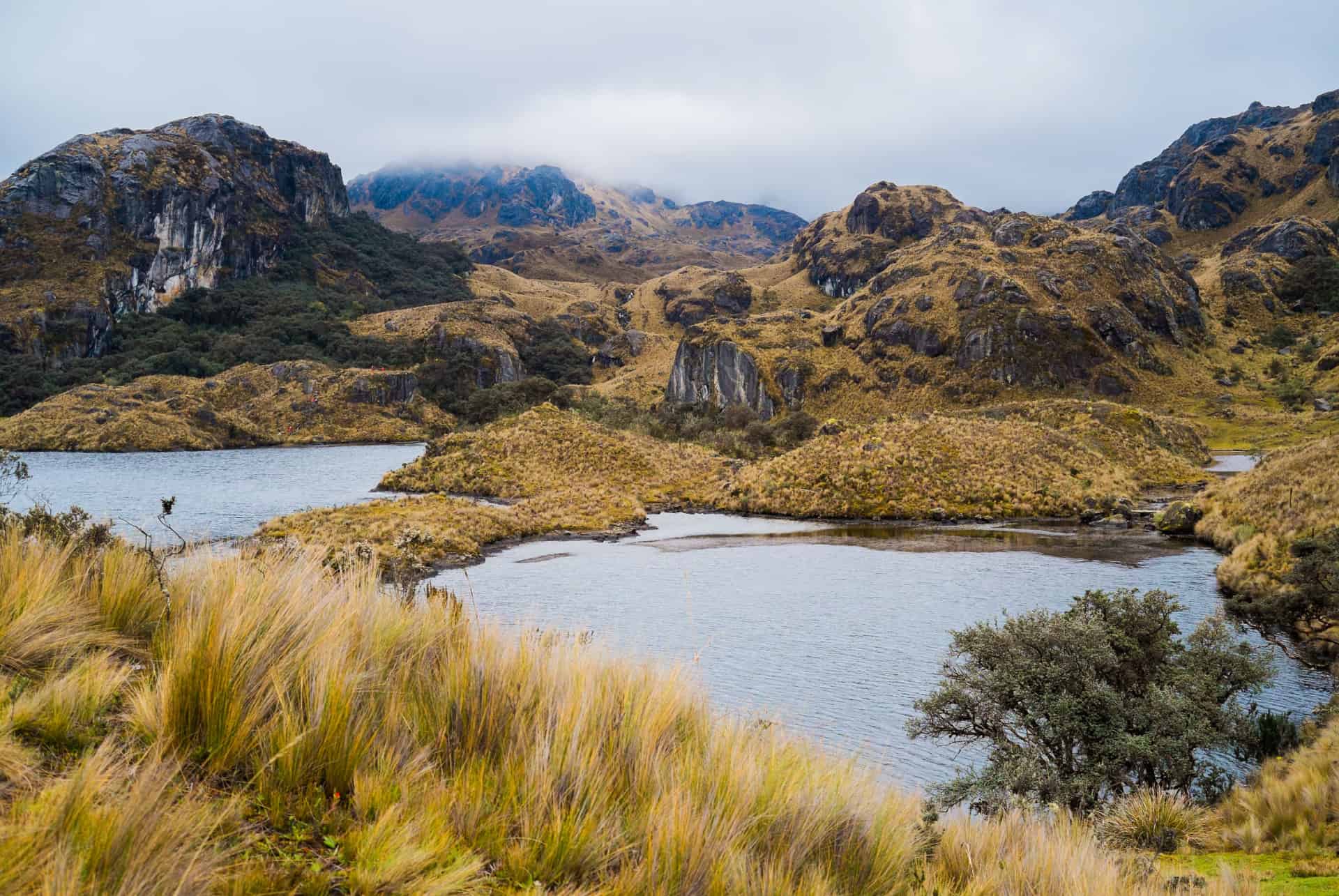 parc national cajas que faire equateur