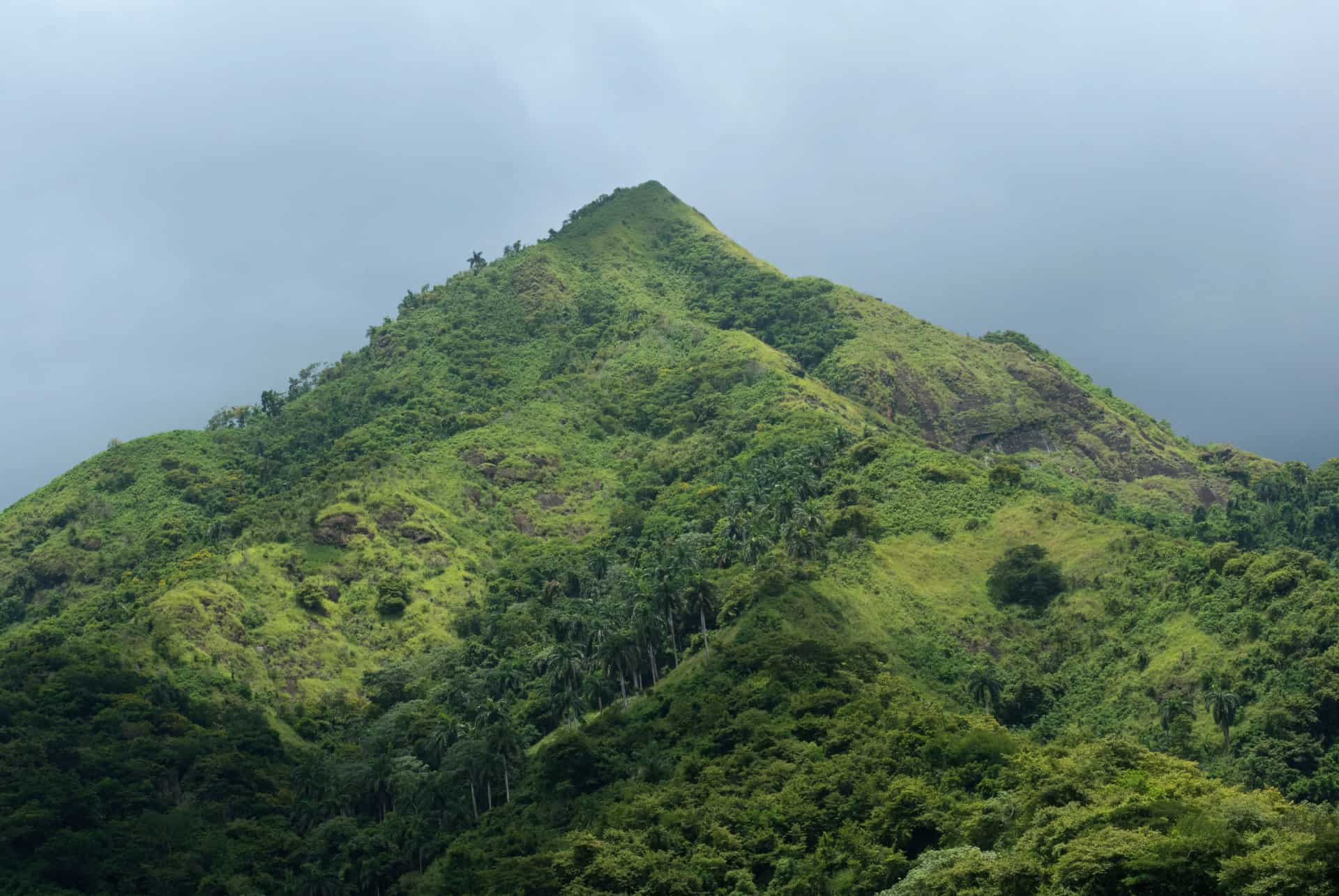 pico turquino