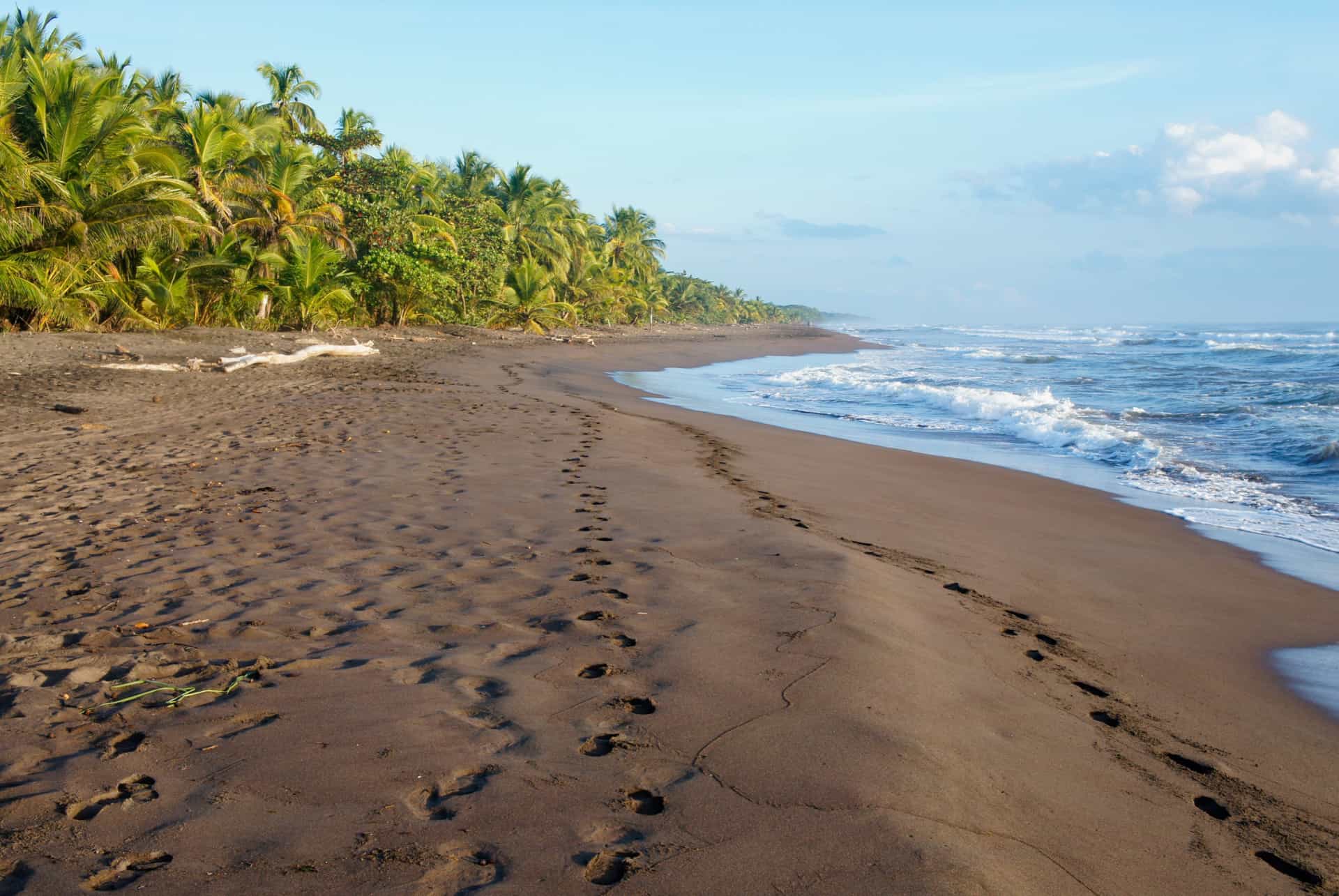 plage de tortuguero