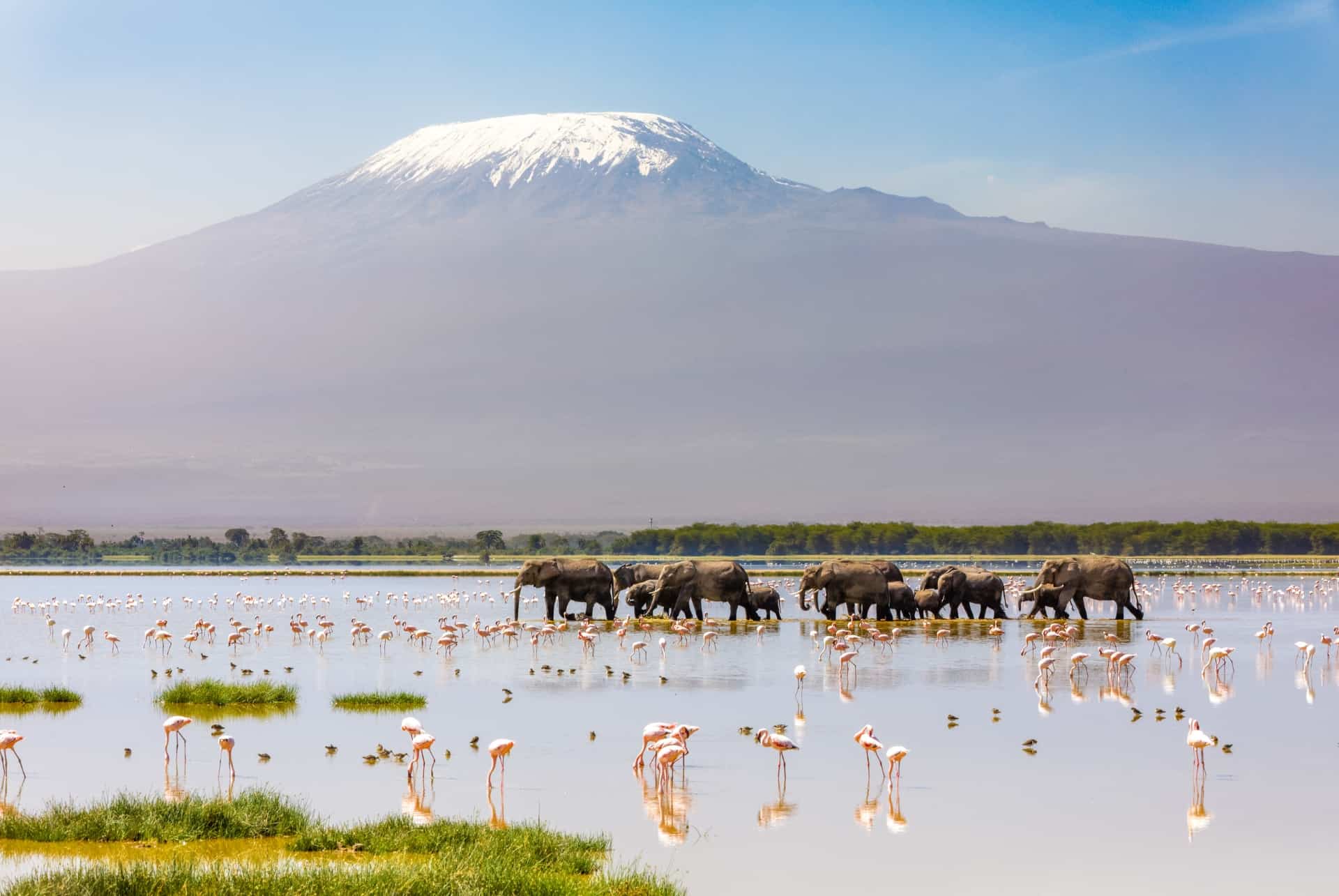 amboseli kenya