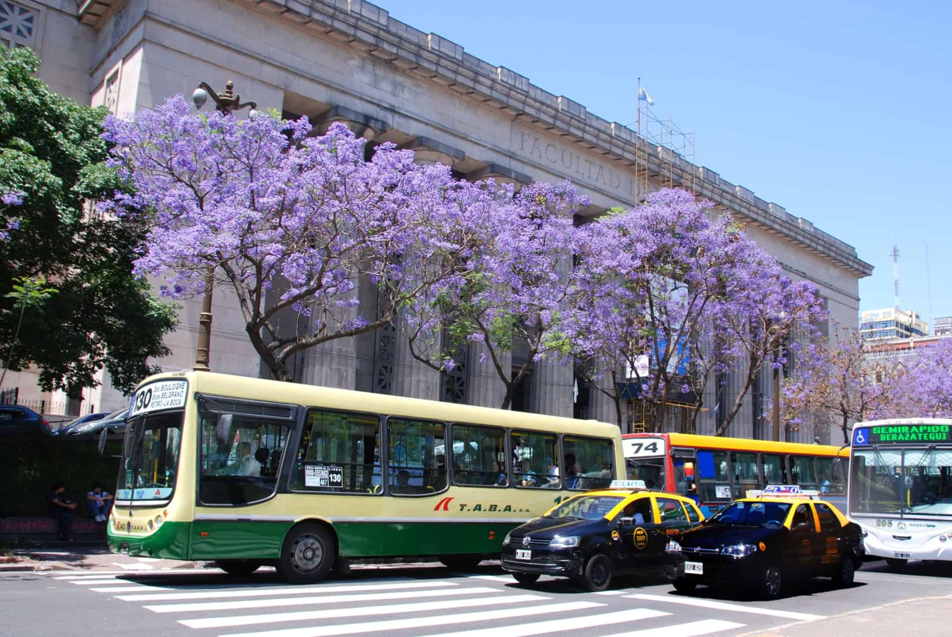 bus buenos aires