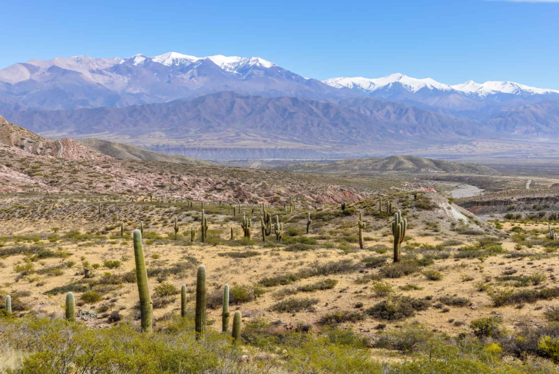 road trip argentine parc national los cardones