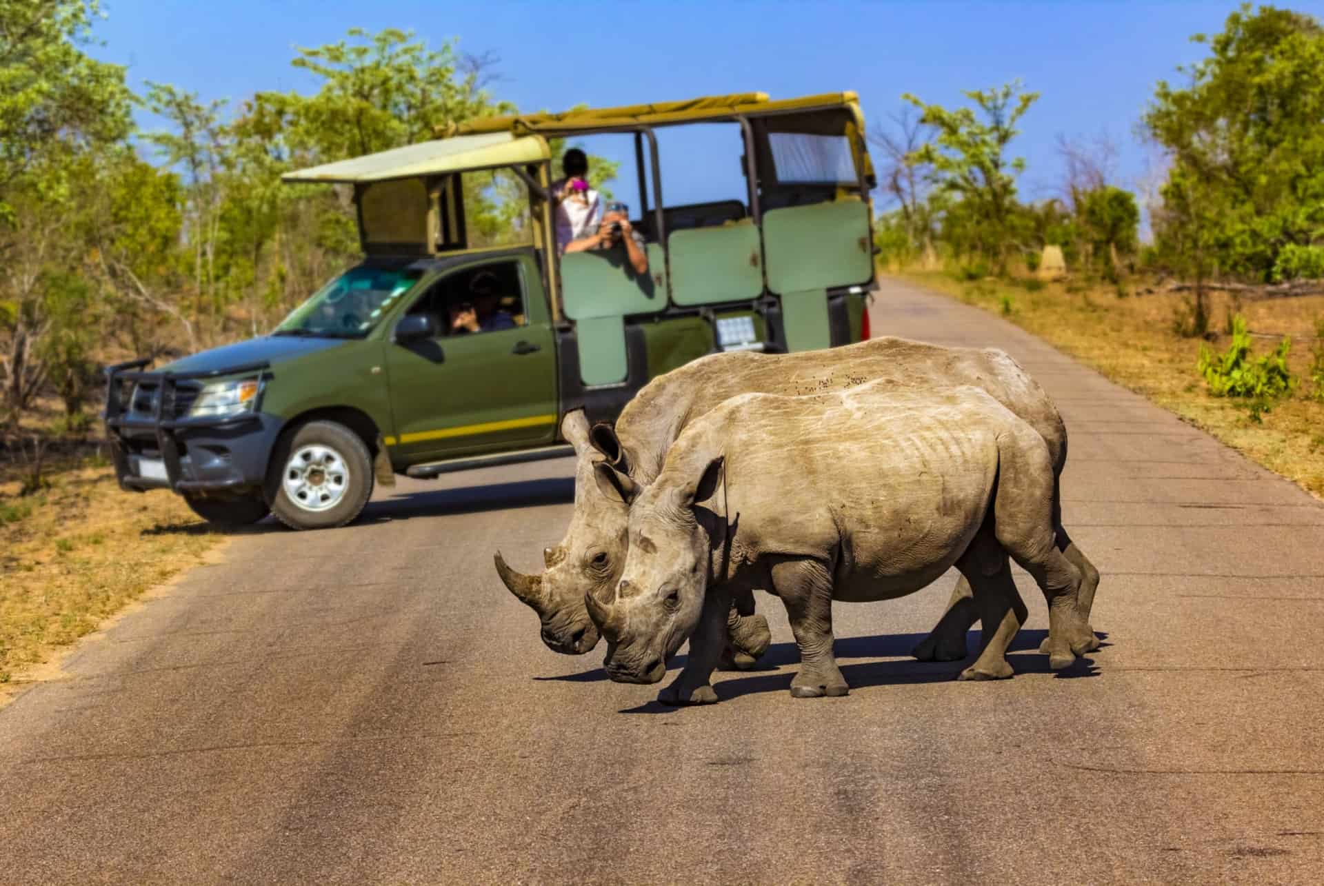 safari parc kruger