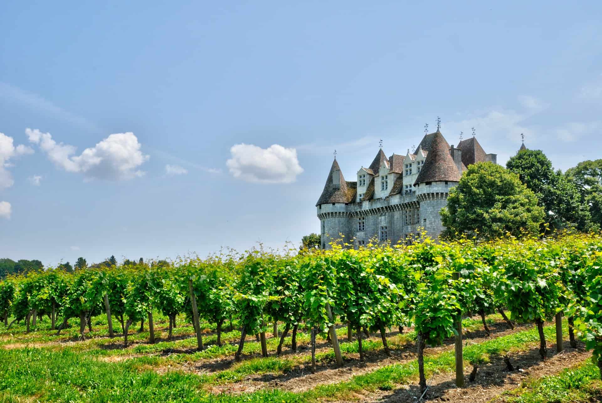 vignoble monbazillac que faire dordogne