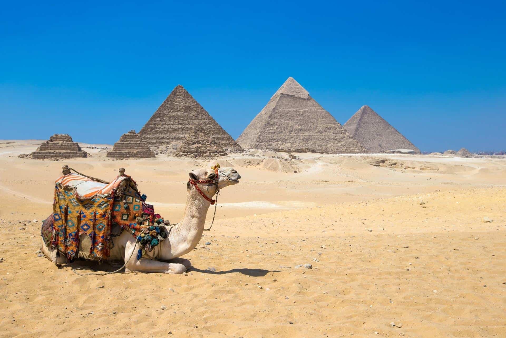 visiter egypte