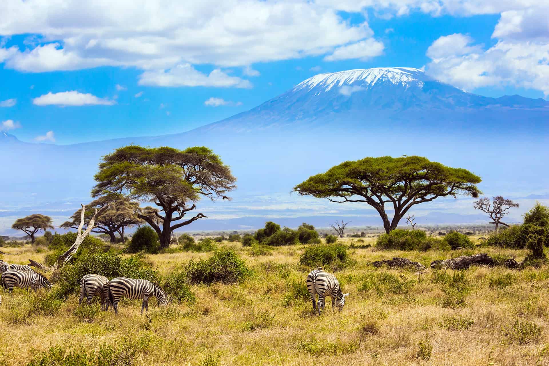 voyager au kenya