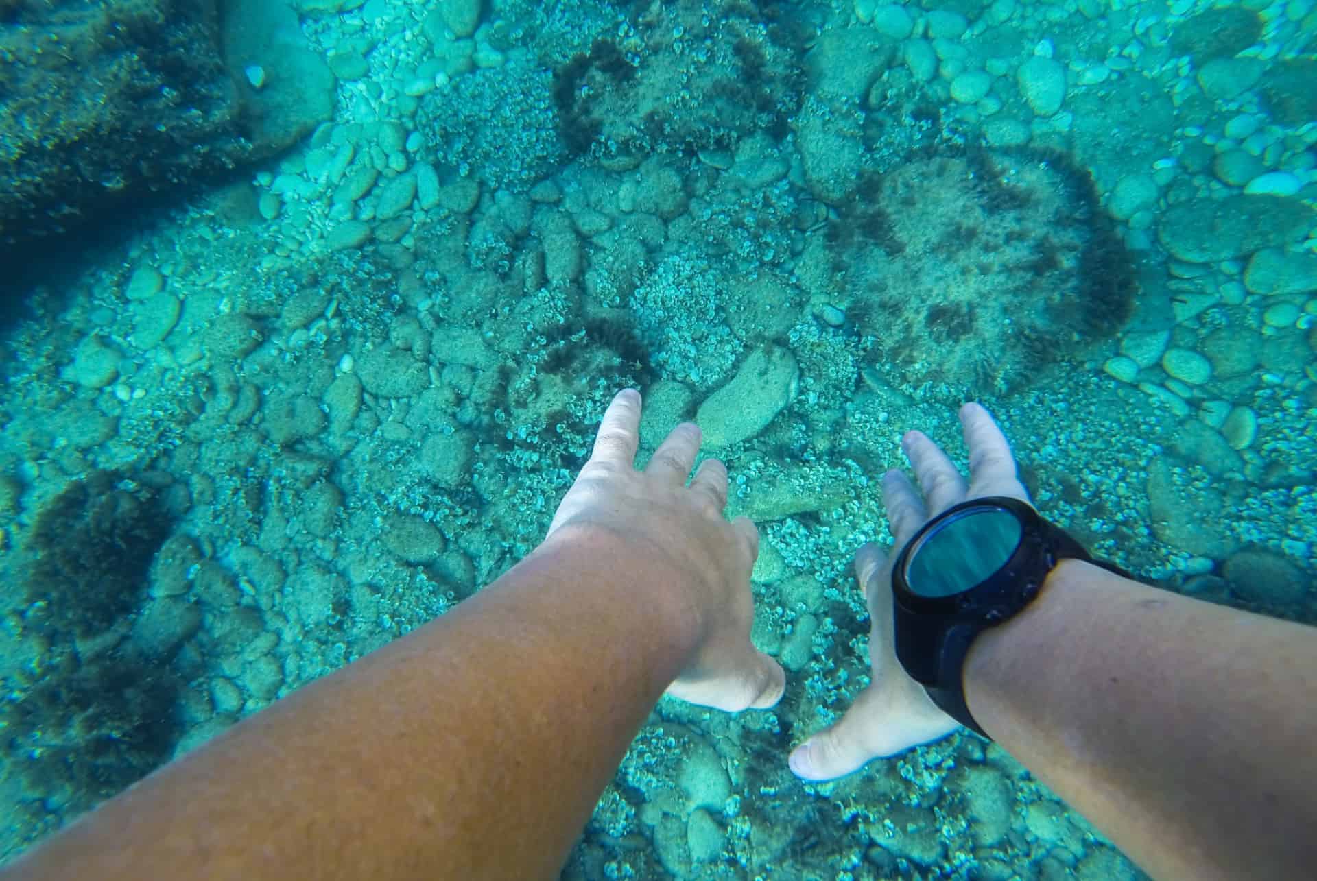 que faire a bonifacio snorkeling