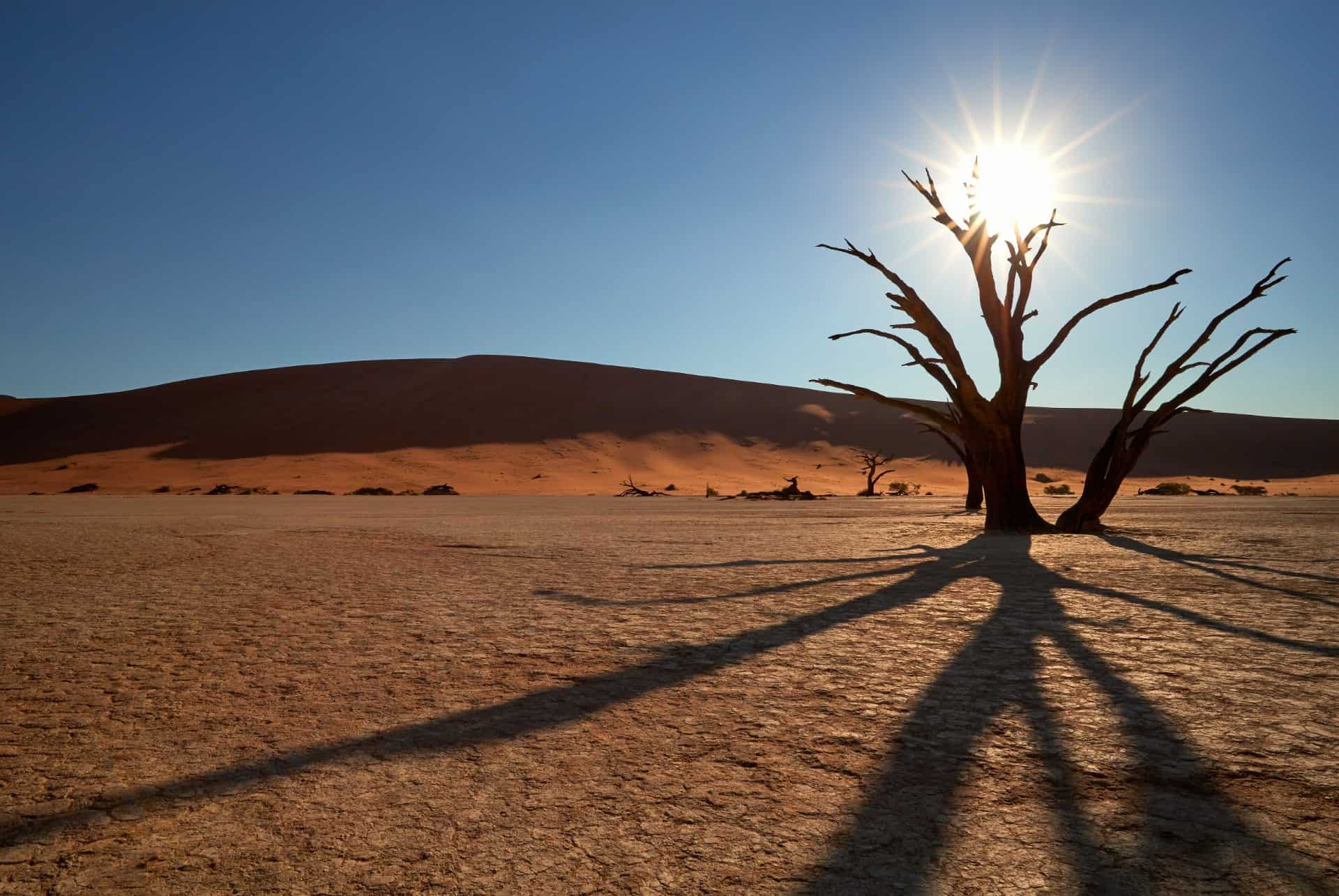 deadvlei