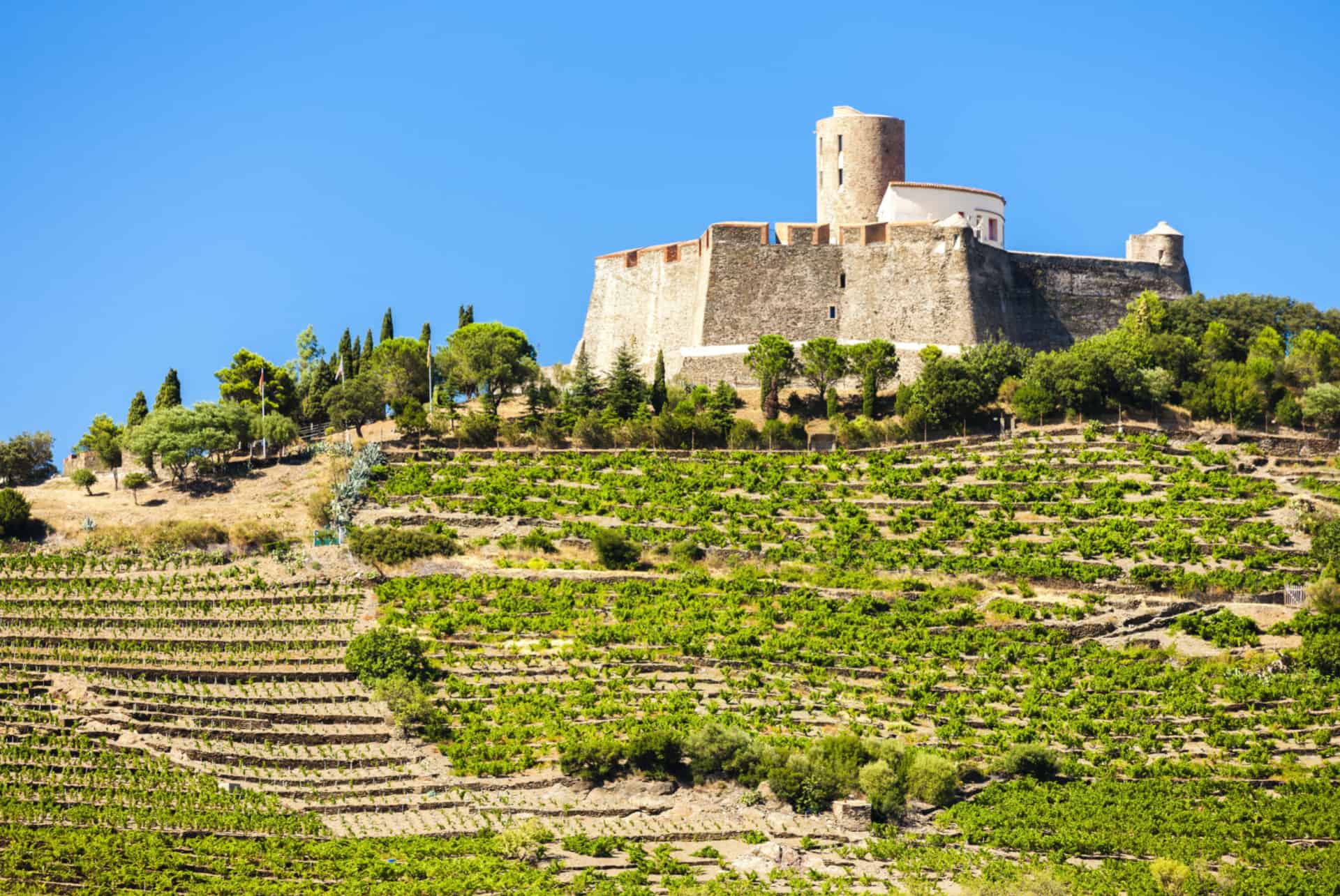 forteresse saint elme