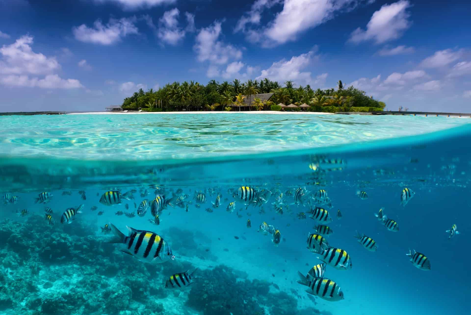 maldives depuis la mer