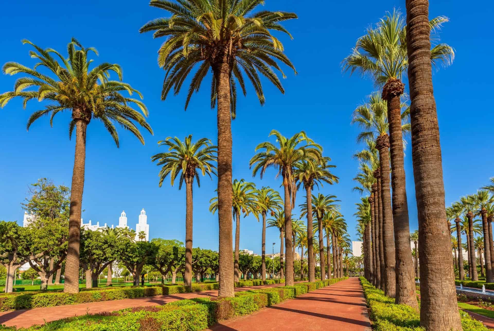 parc de la ligue arabe casablanca