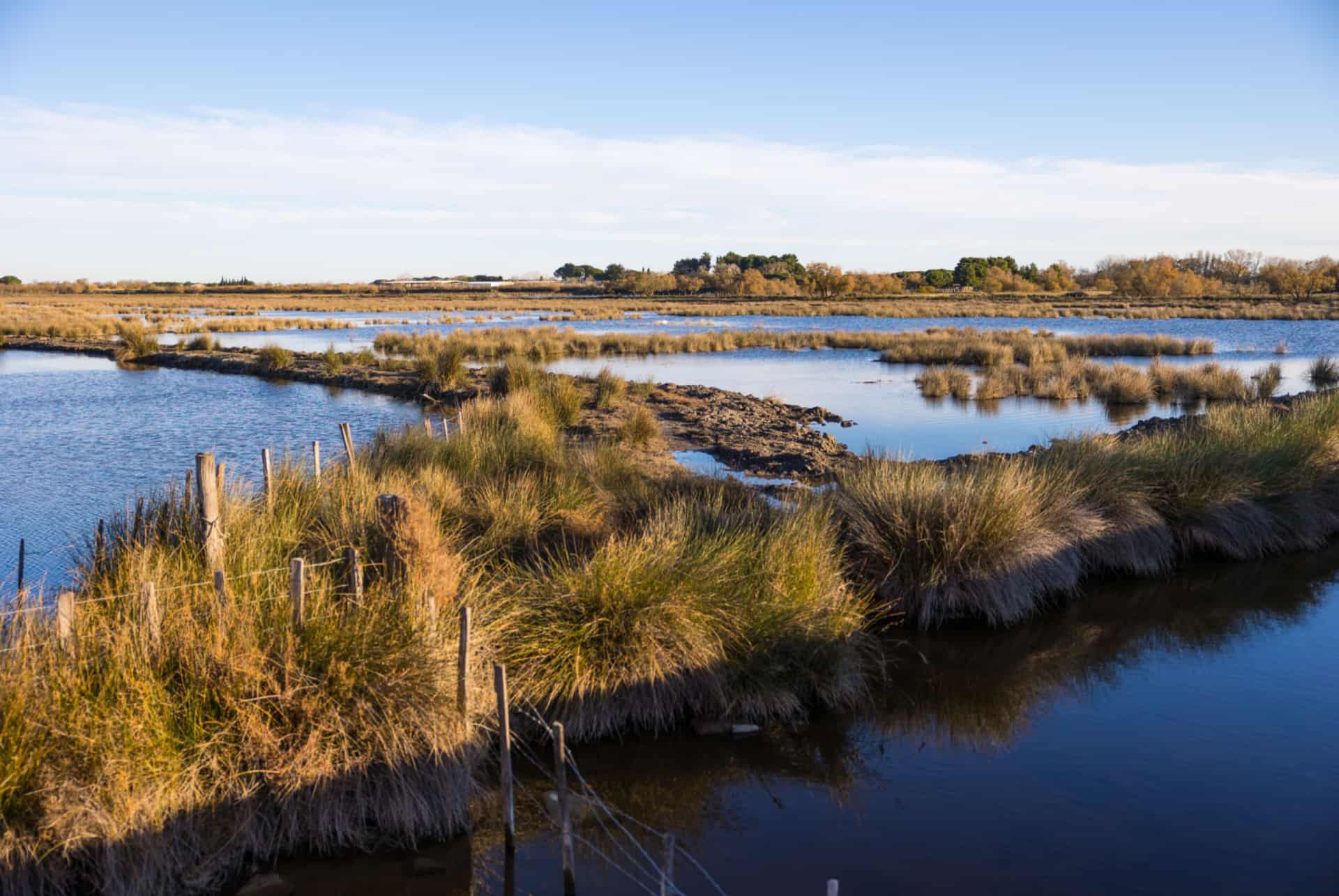 que faire languedoc roussillon petite camargue