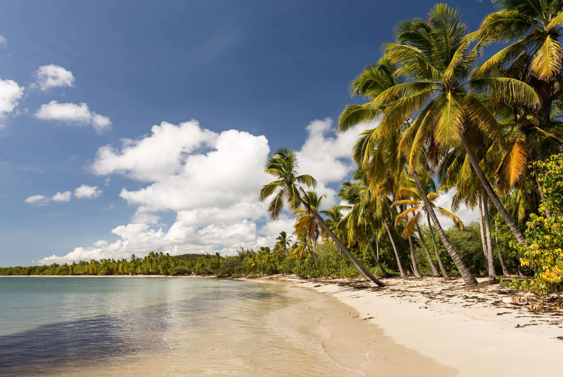 plage des salines martinique plus belles plages de france