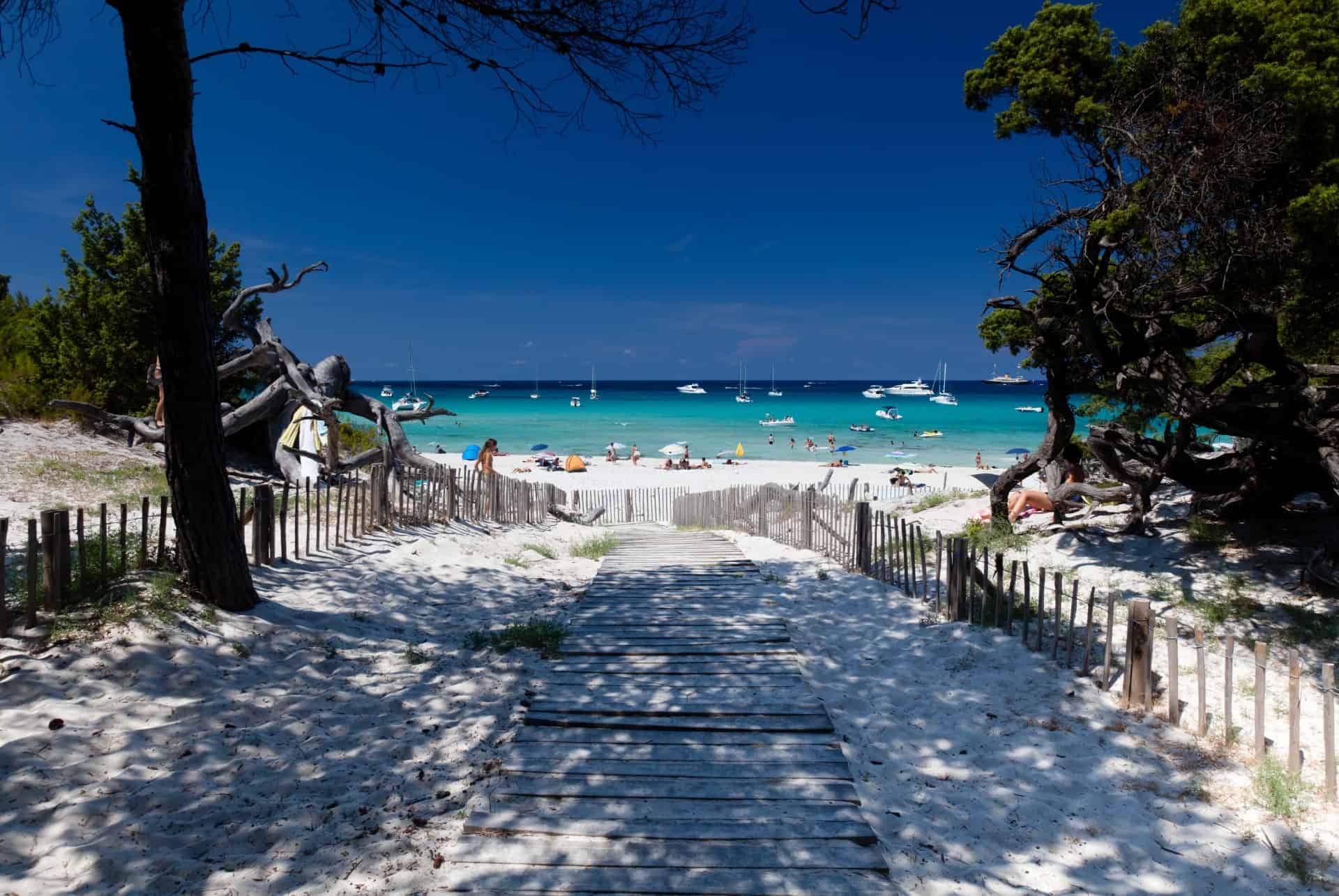 plage saleccia corse