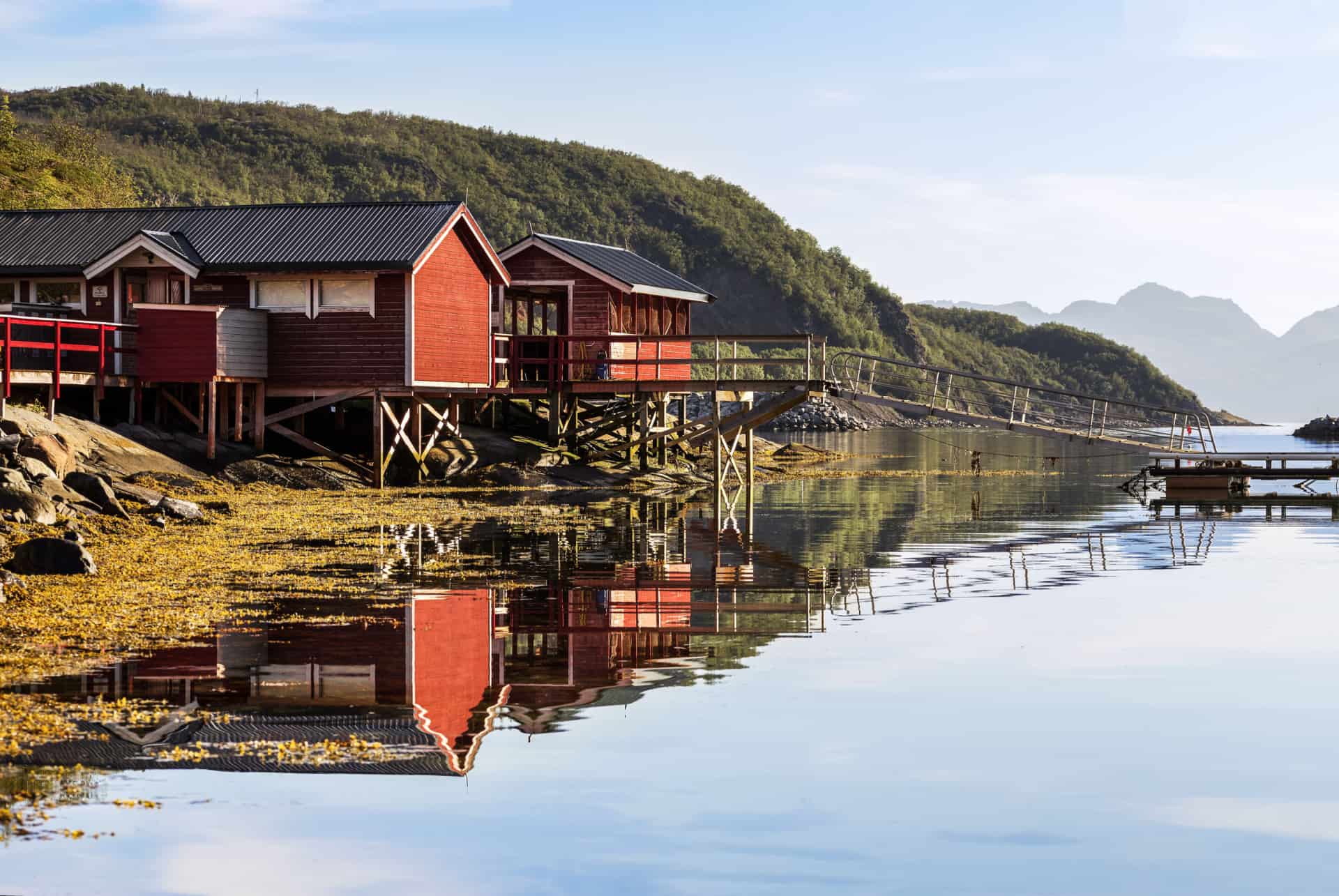 port skjervoy