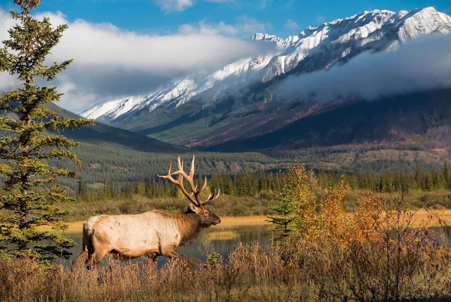 quand partir au canada