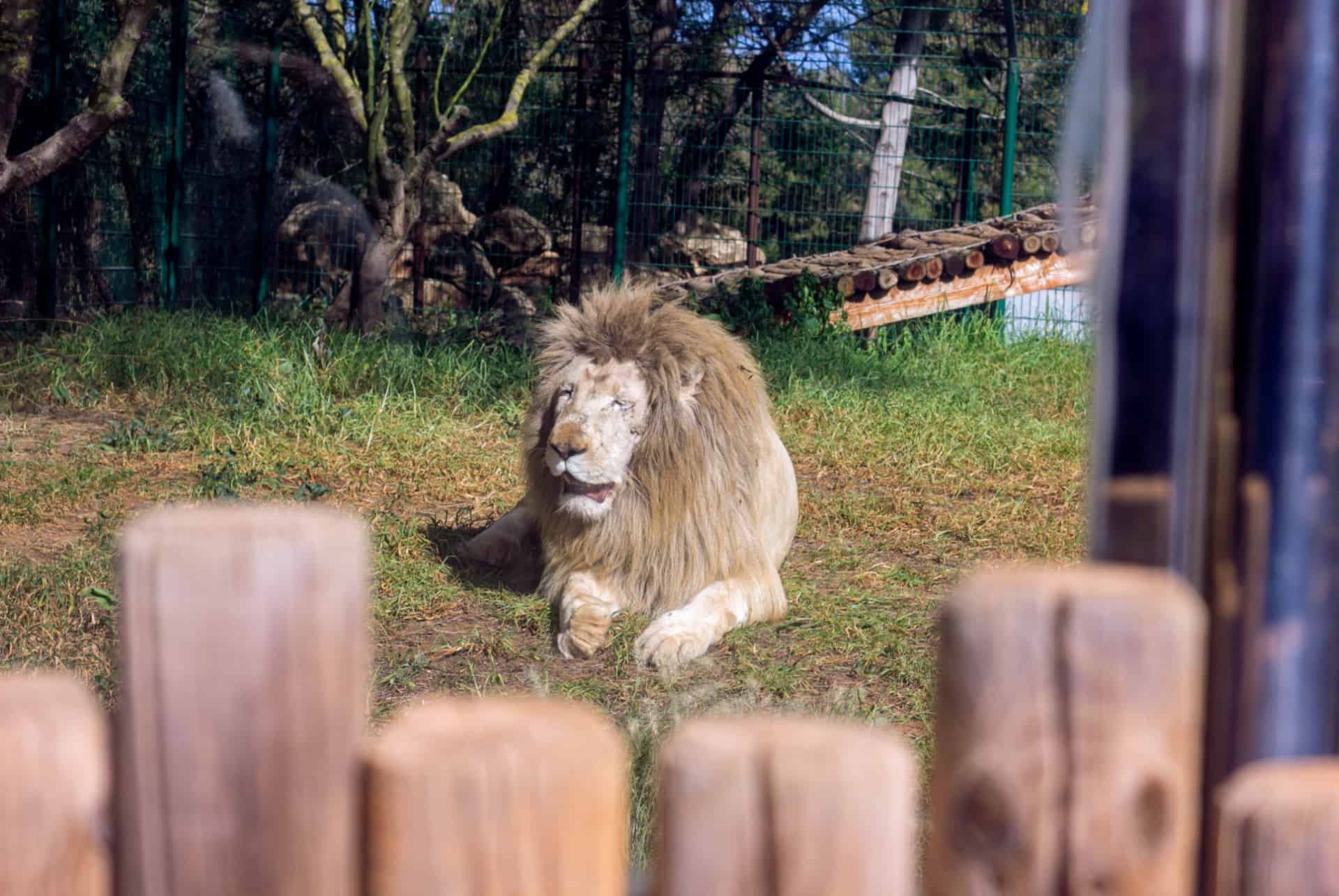 rabat zoo