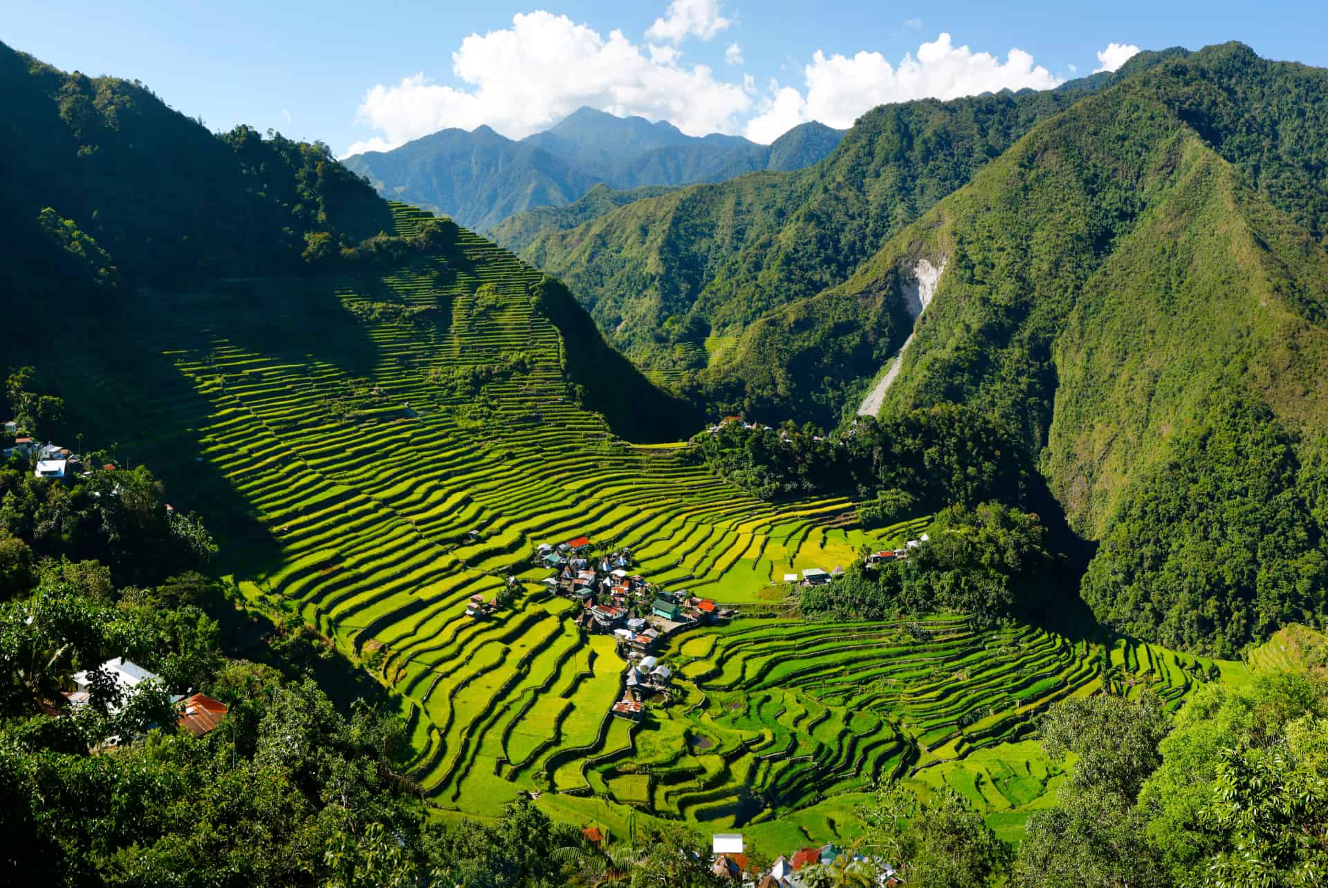 Banaue riziere