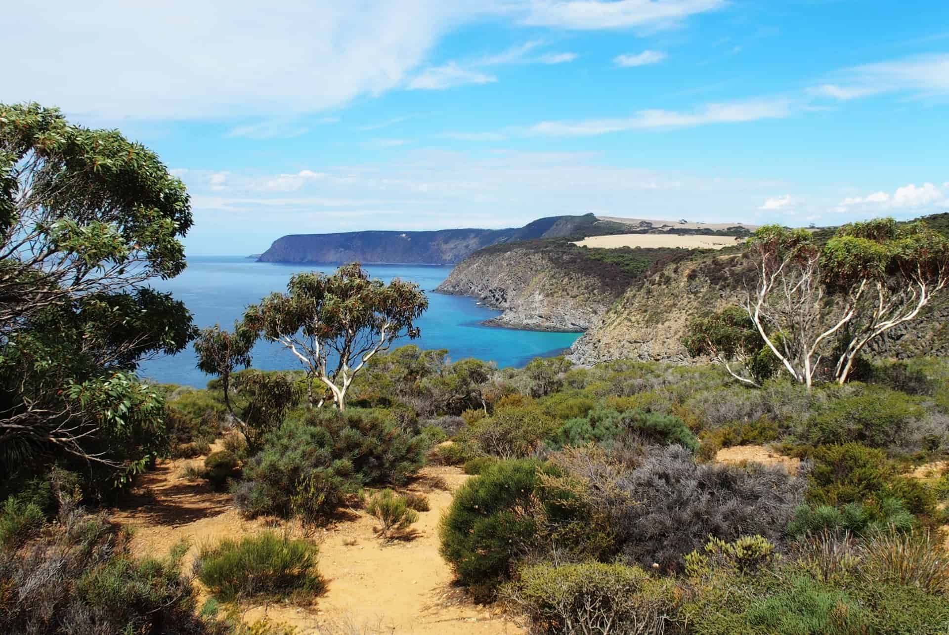 australie kangaroo island